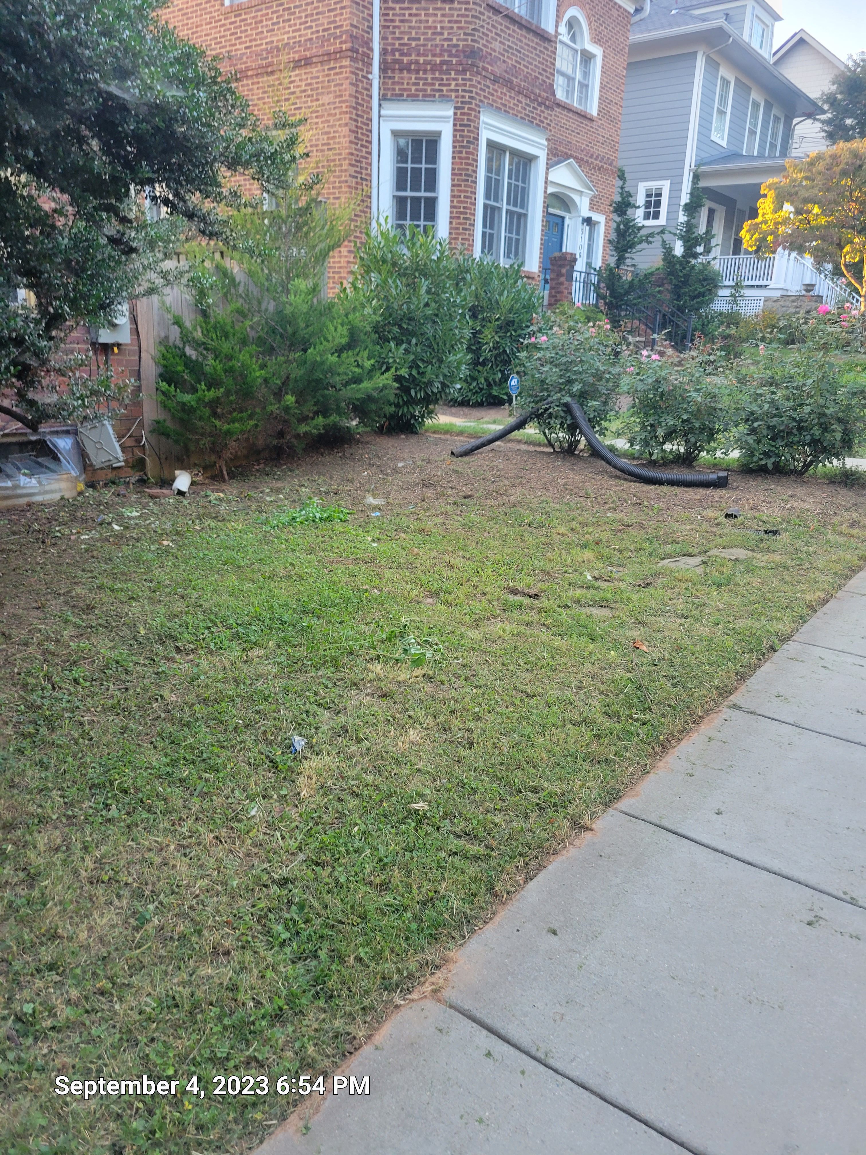 Fall and Spring Clean Up for Papayards in Arlington, VA