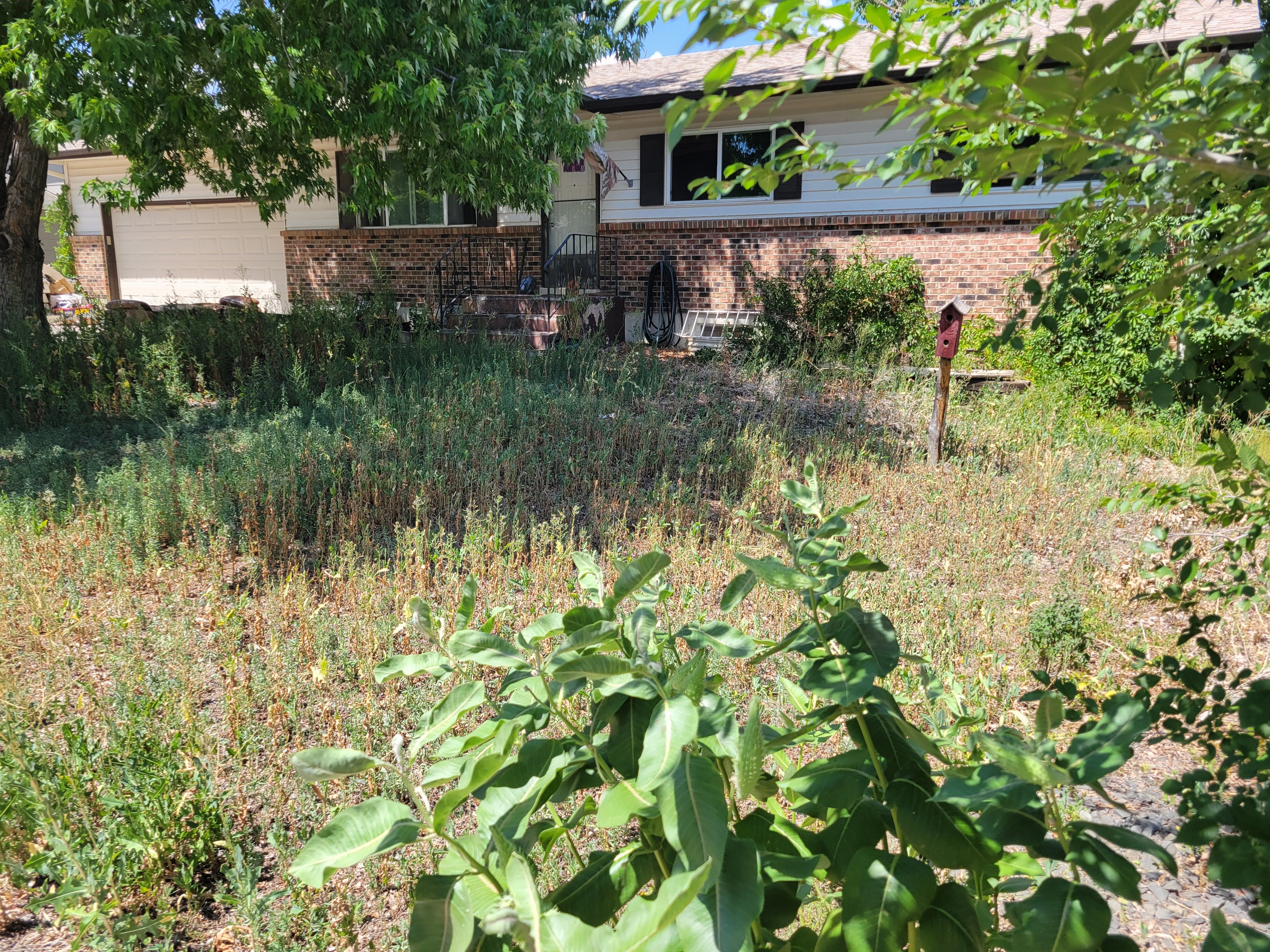  for JS Landscaping Colorado in Denver, CO