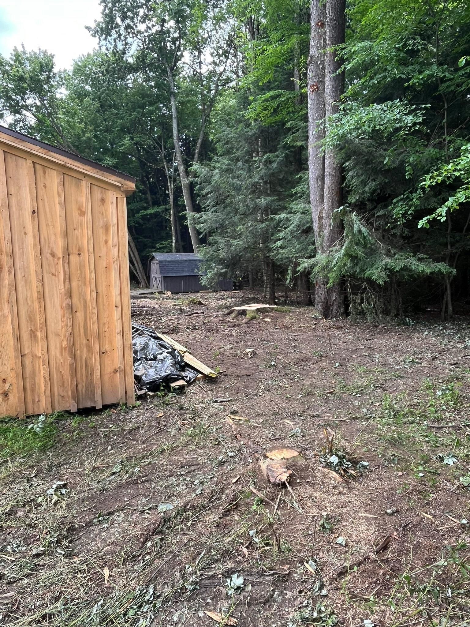  for J&E Tree & Excavation Services in Sandy, PA