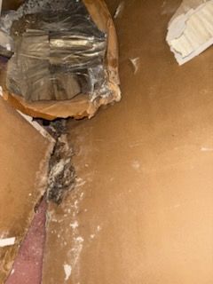  for N&D Restoration Services When Disaster Strikes, We Come In in Cape Coral,  FL