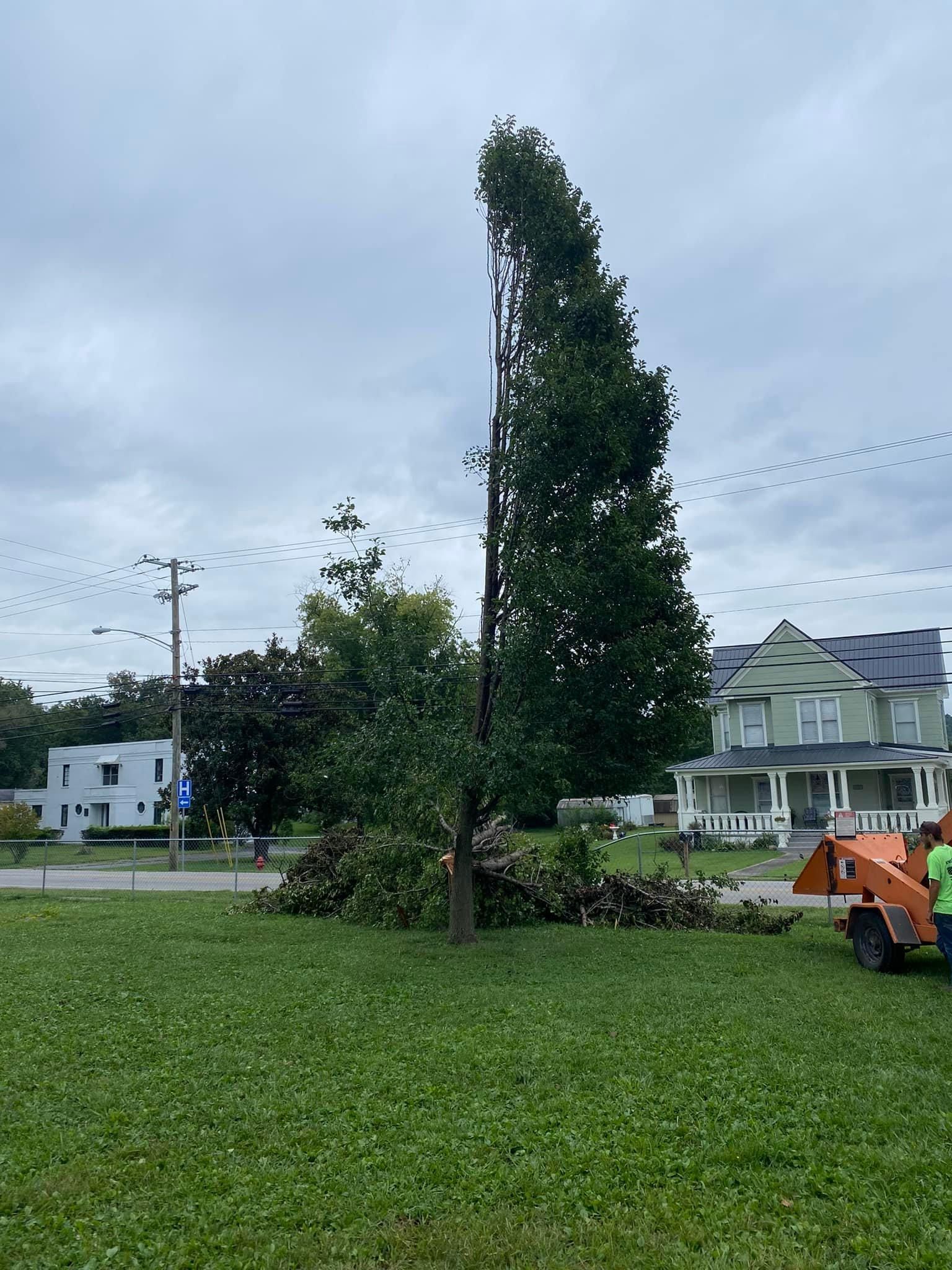 All Photos for Atwood’s Tree Care in Liberty,  KY