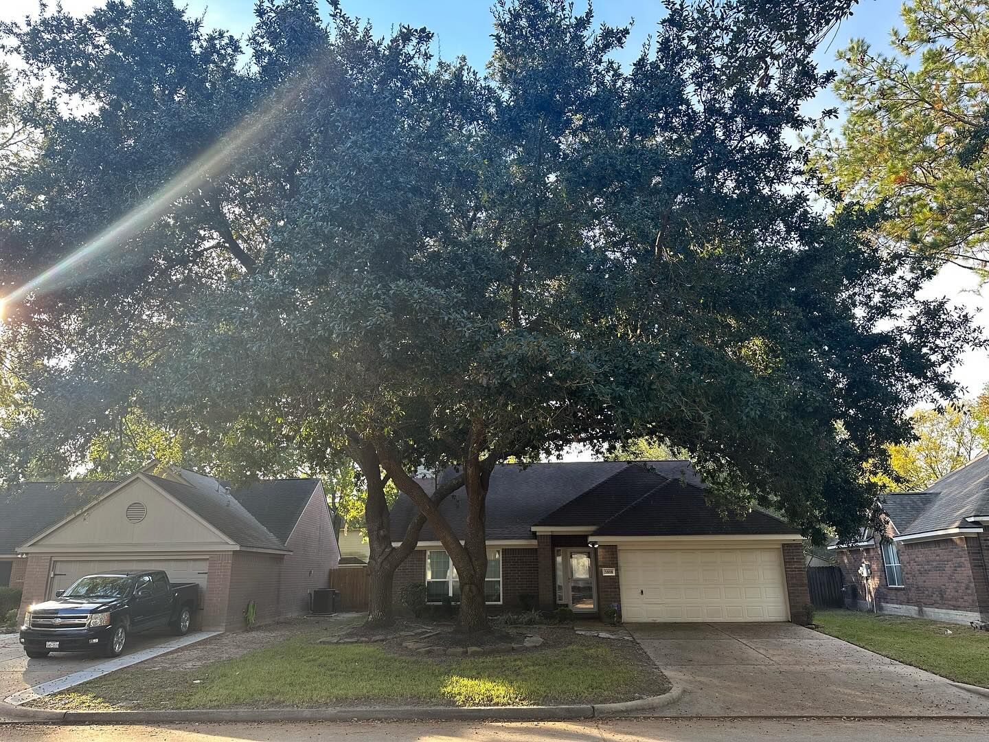  for C&B Ramos Tree Service in Houston, TX