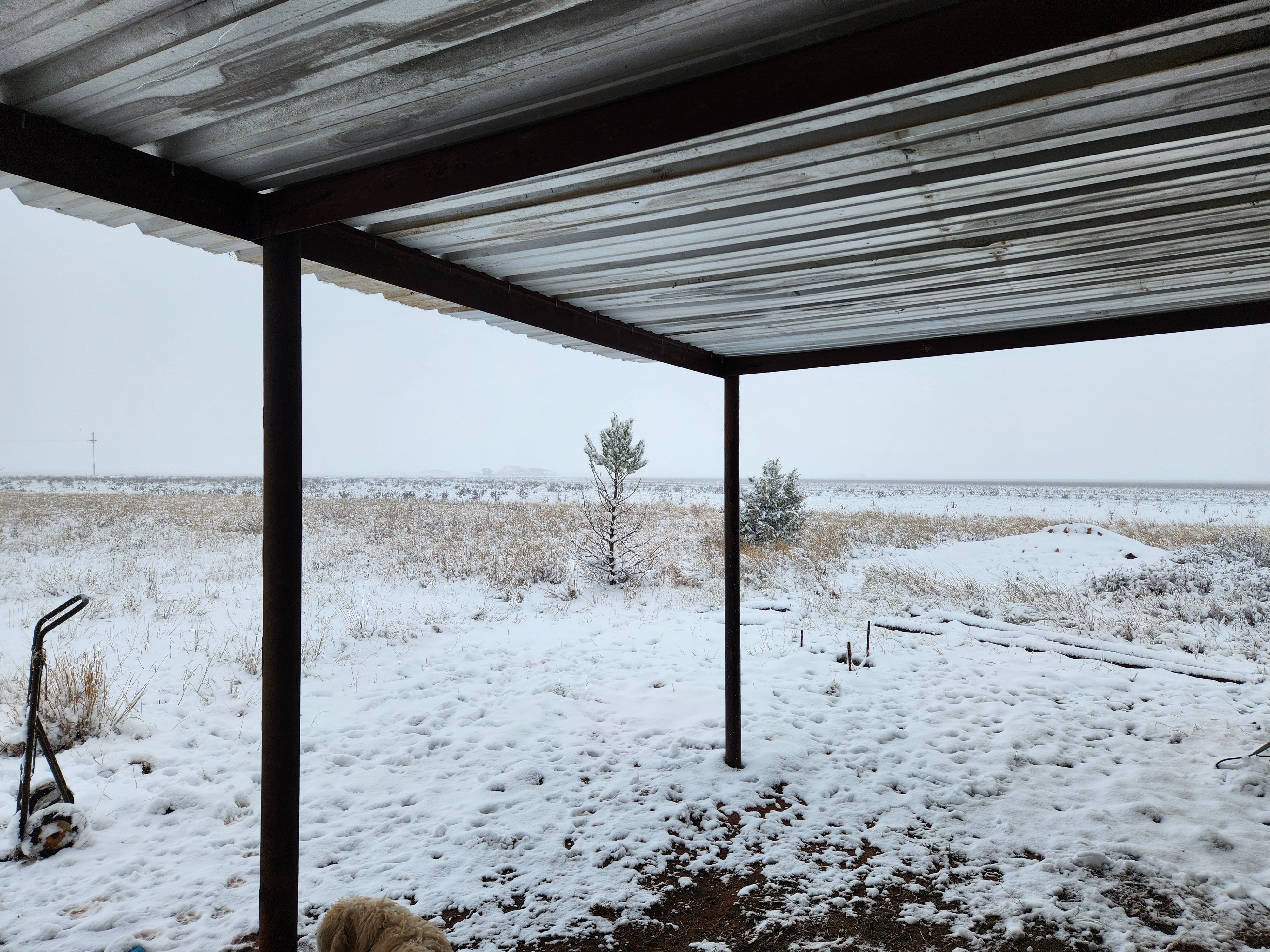 Tiny Barn House for Prairie Land Properties LLC in Lubbock, TX