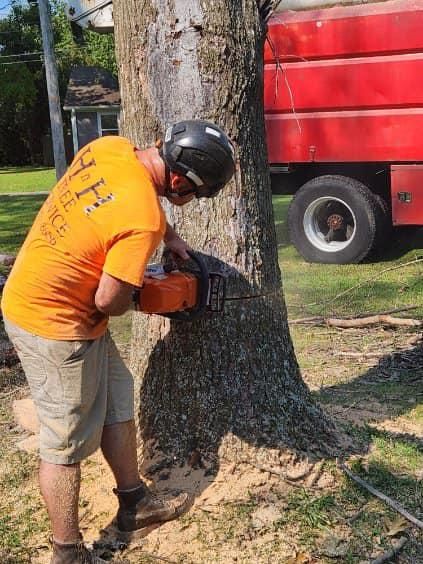  for H n H Tree Service in Taneyville, MO