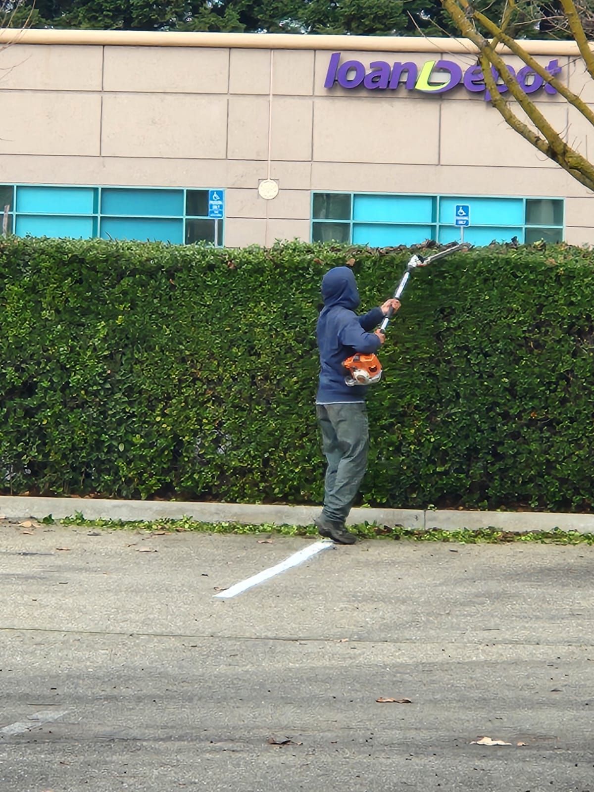  for Vargas LANSCAPE LLC in Stockton, CA