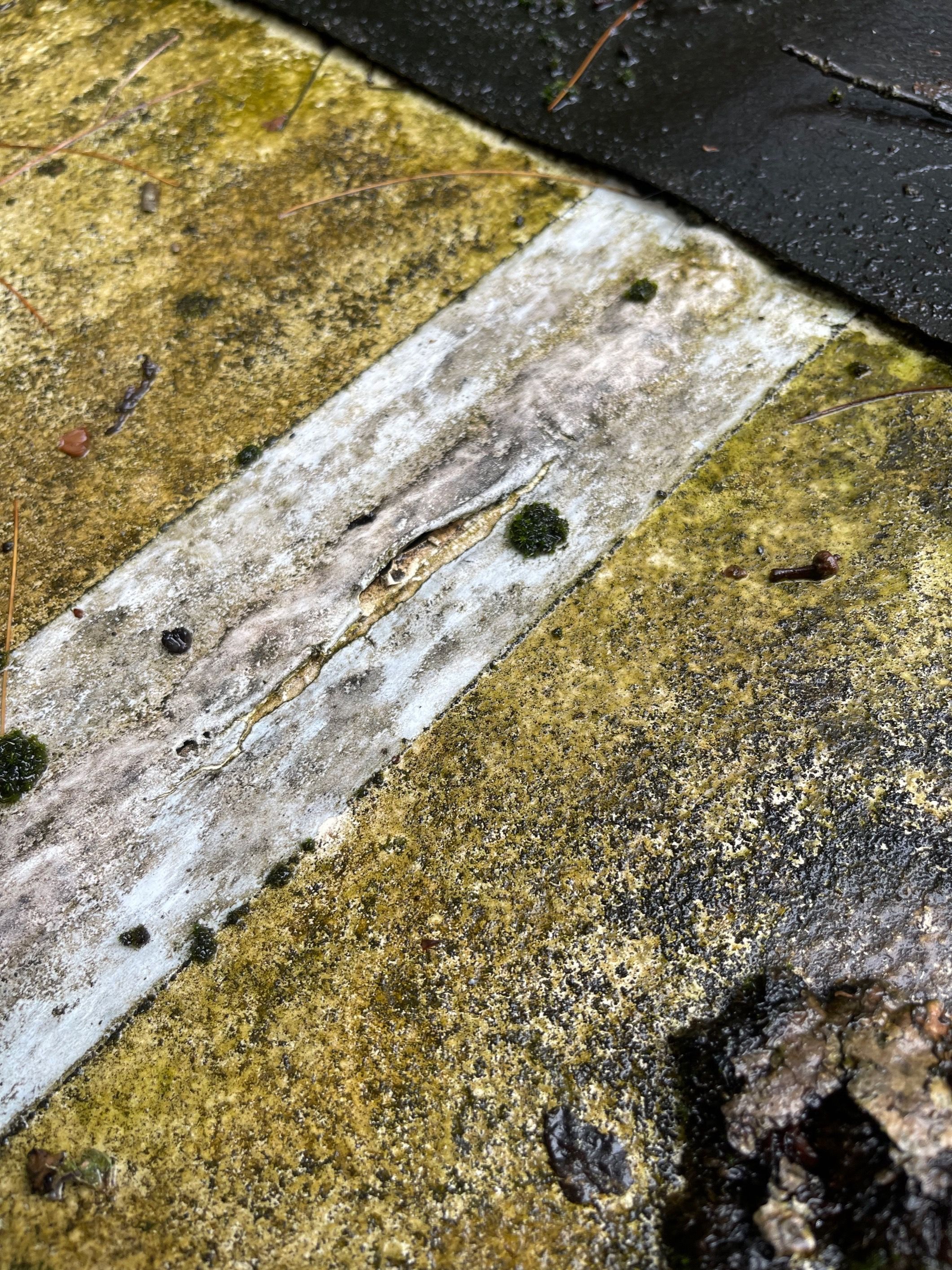  for RJ Roofing of WNC in Brevard, NC