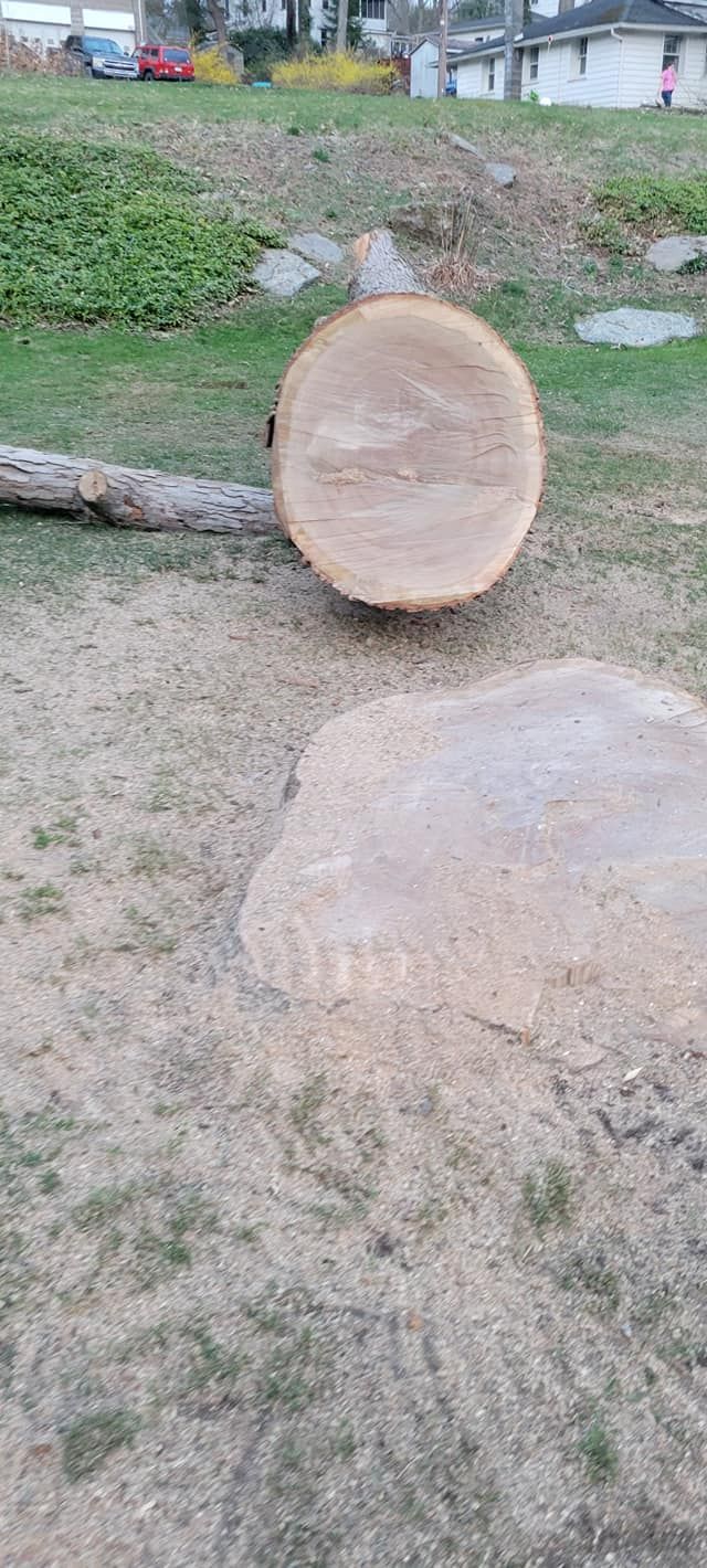  for AAA Tree Cutting in Shavertown, PA