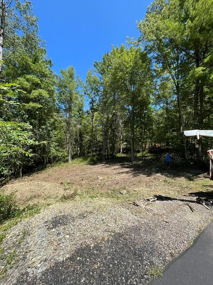 All Photos for Licensed to Cut Tree Service in Athens, PA