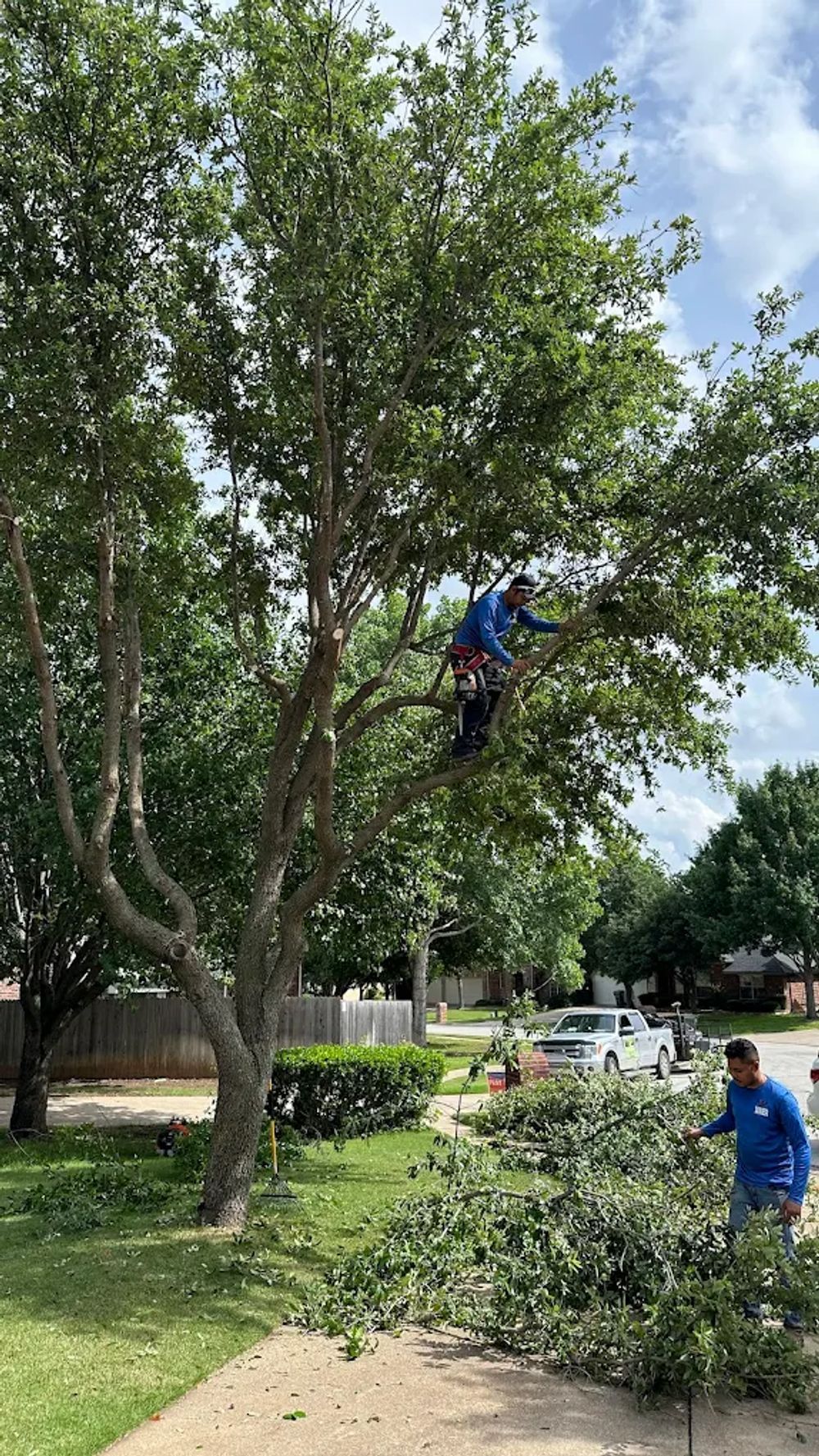  for Valadez Landscaping LLC in Fort Worth, TX