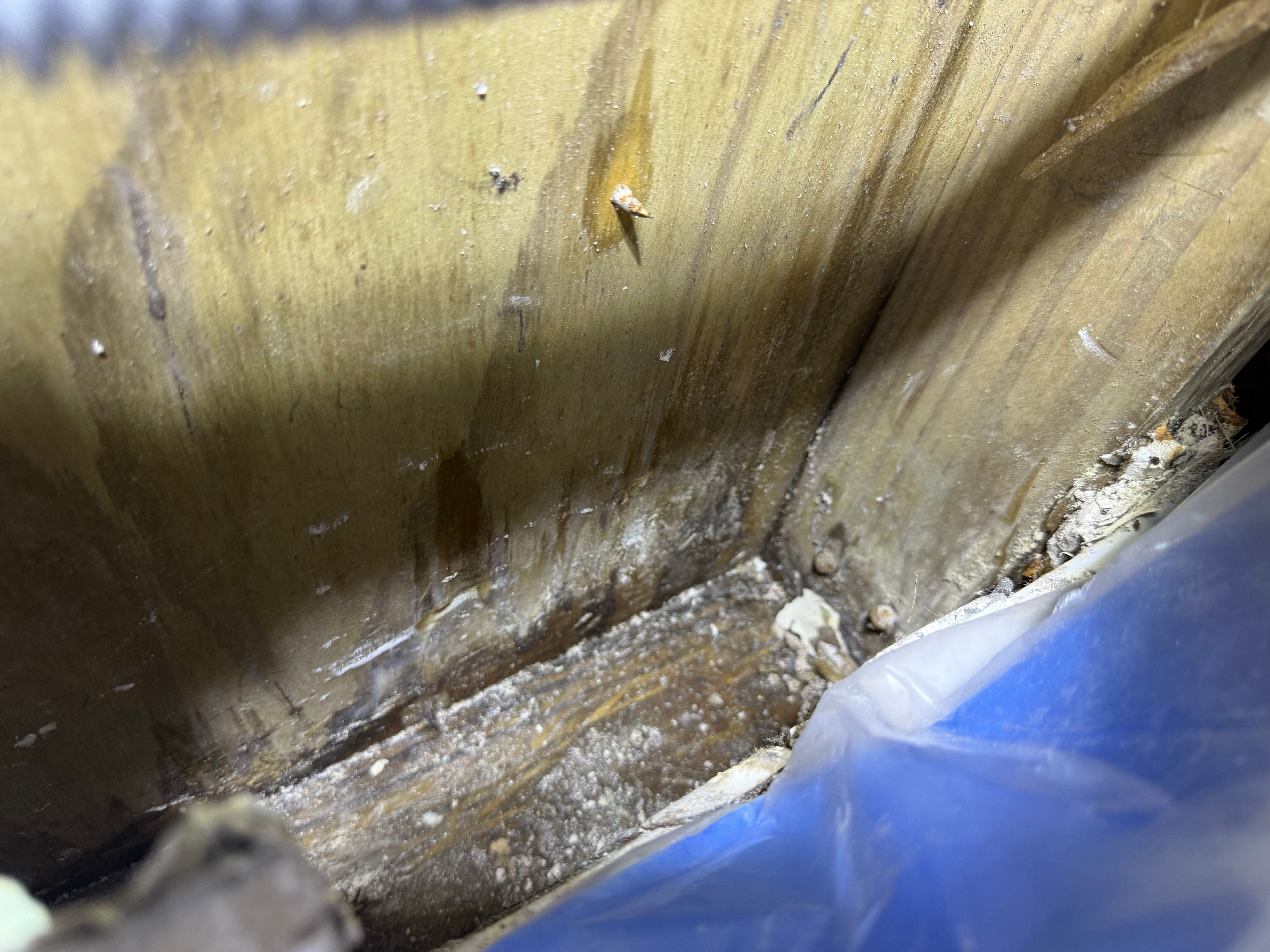  for Surplus Public Adjusters in Miami-Dade County, FL