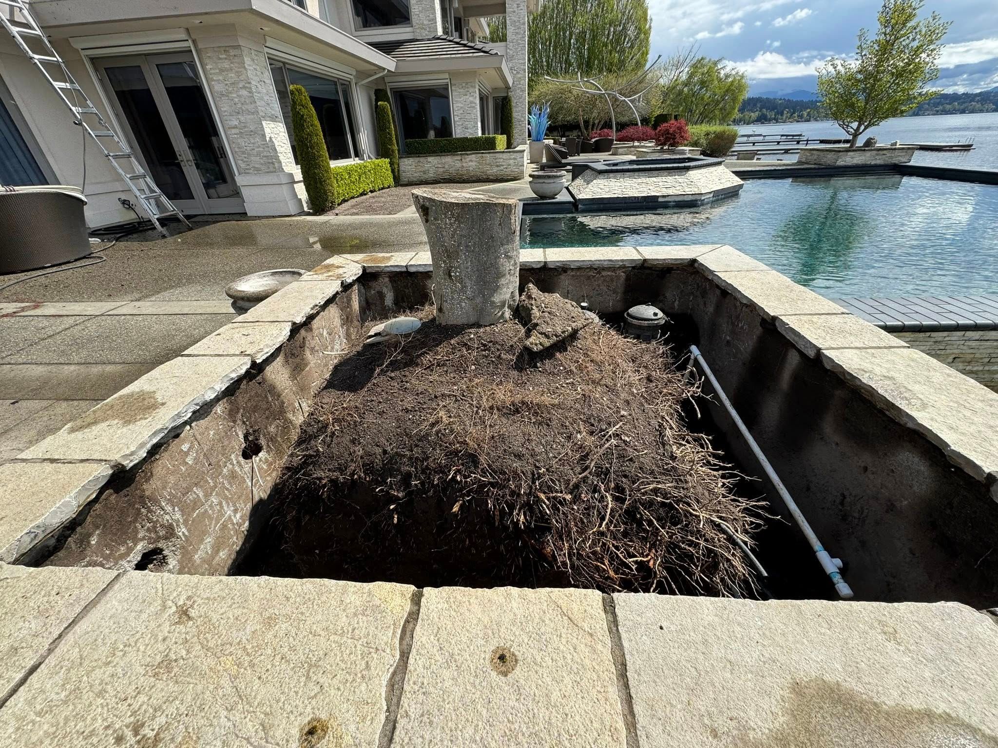 All Photos for Teo’s Property Maintenance and Solutions in Redmond, WA