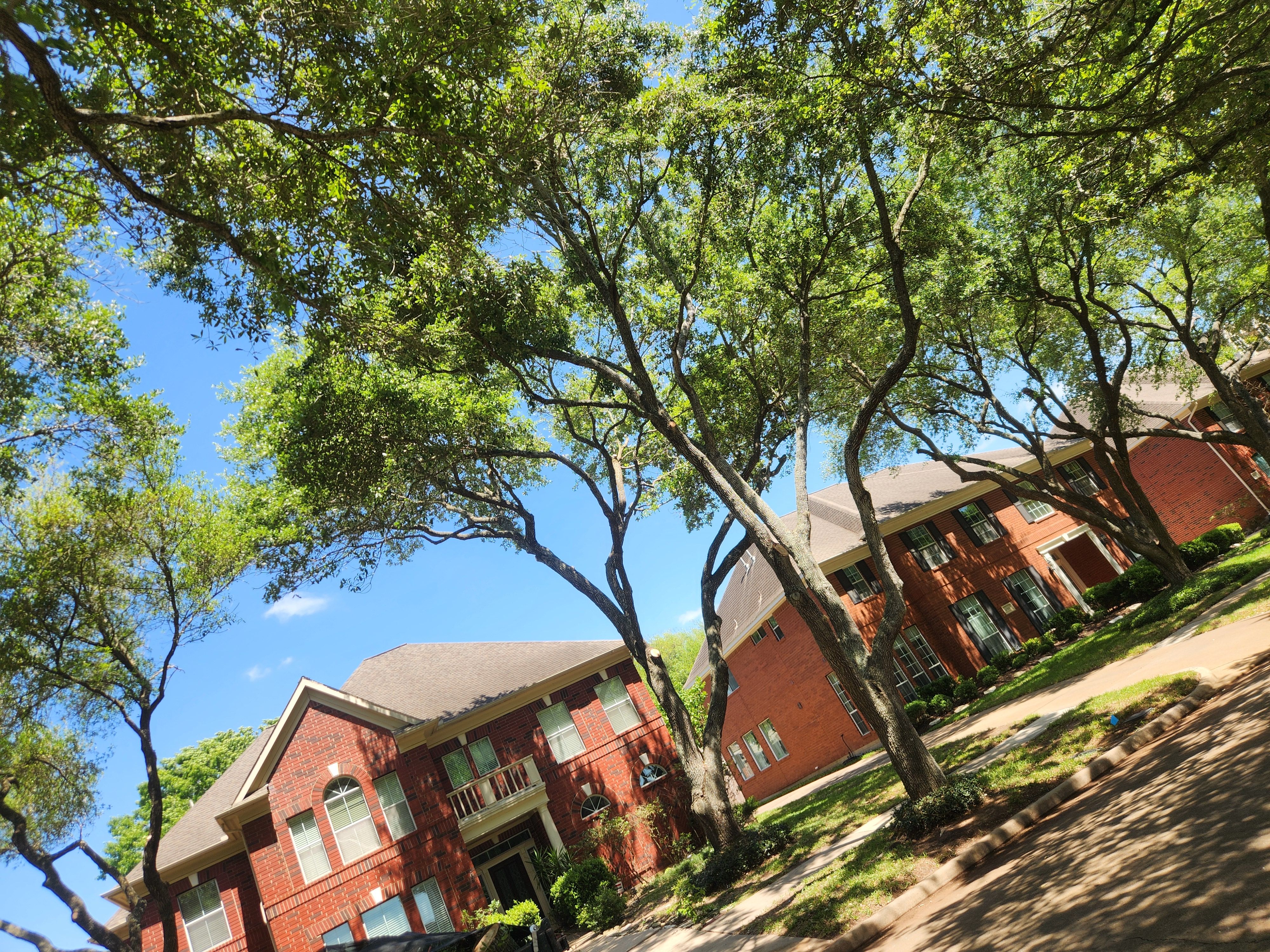  for Right Choice Landscaping LLC in Houston, TX