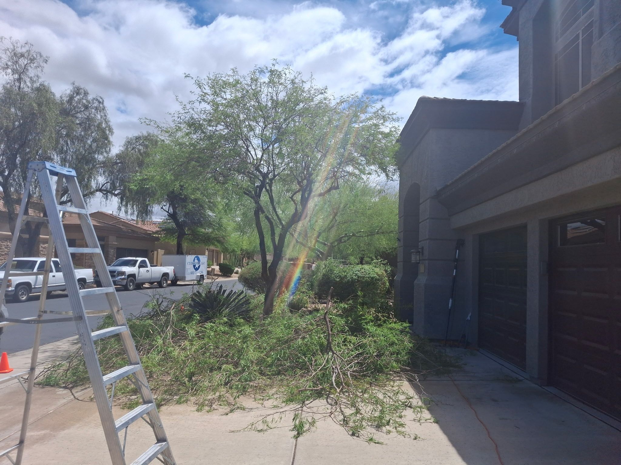  for Family Landscaping in Phoenix, AZ
