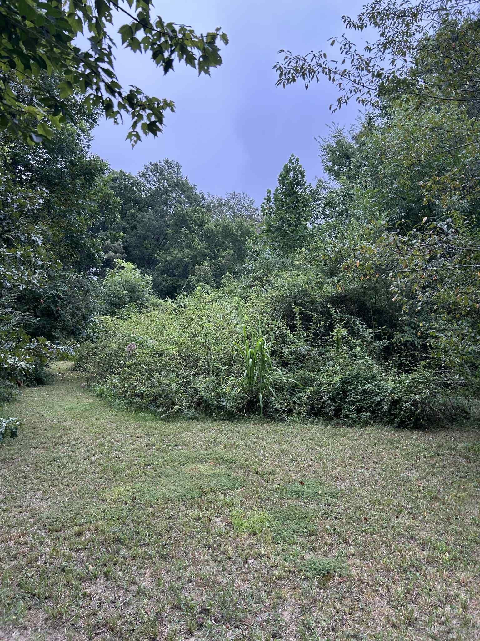  for Z's Land Management & Forestry Mulching in Smithville, TN