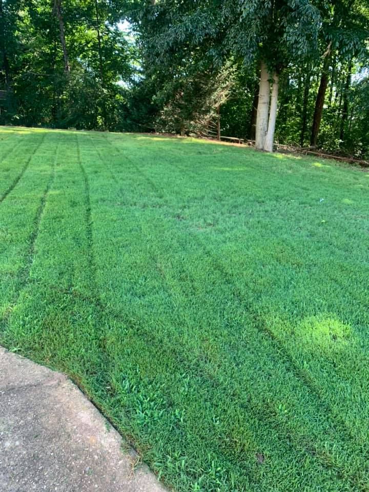 Lawn Care for Bega Landscape Services in Atlanta, Georgia