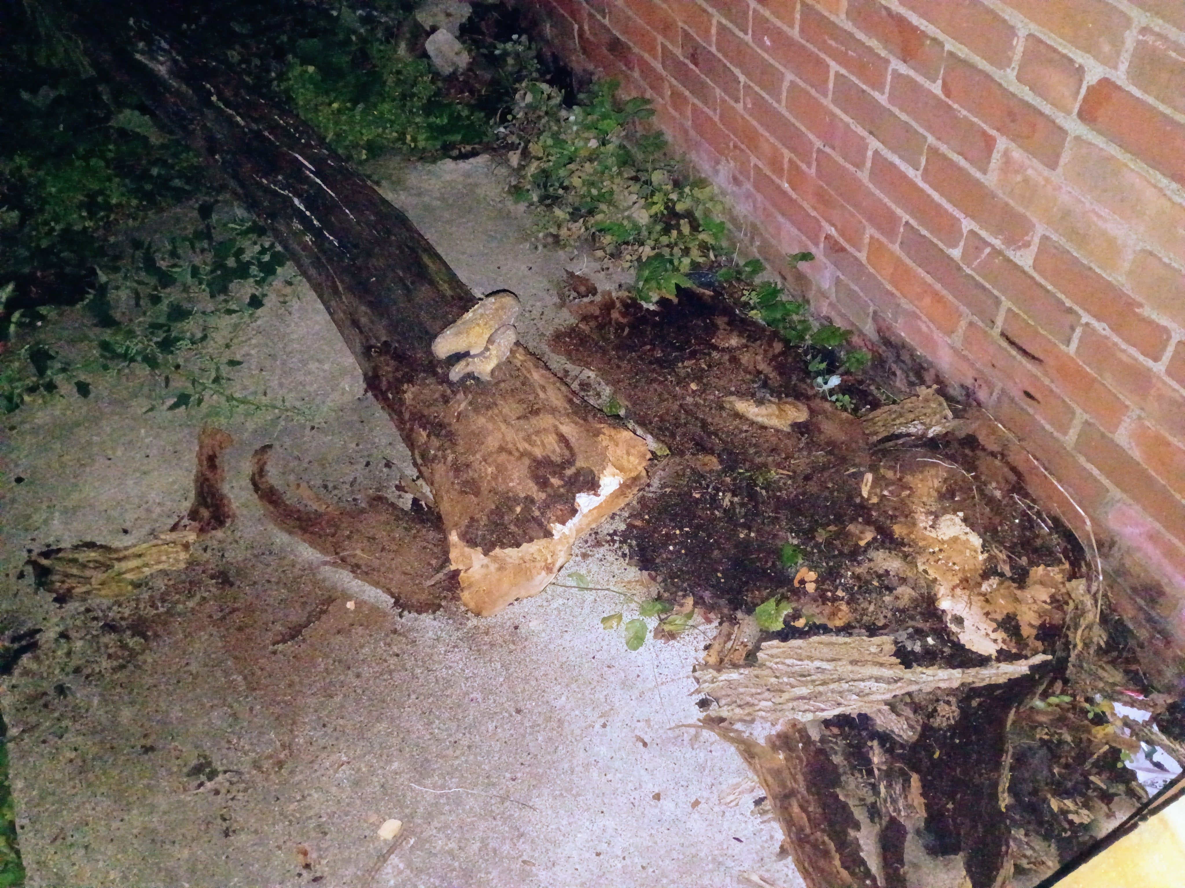  for First Response Reconstruction LLC in New Hampshire, NH