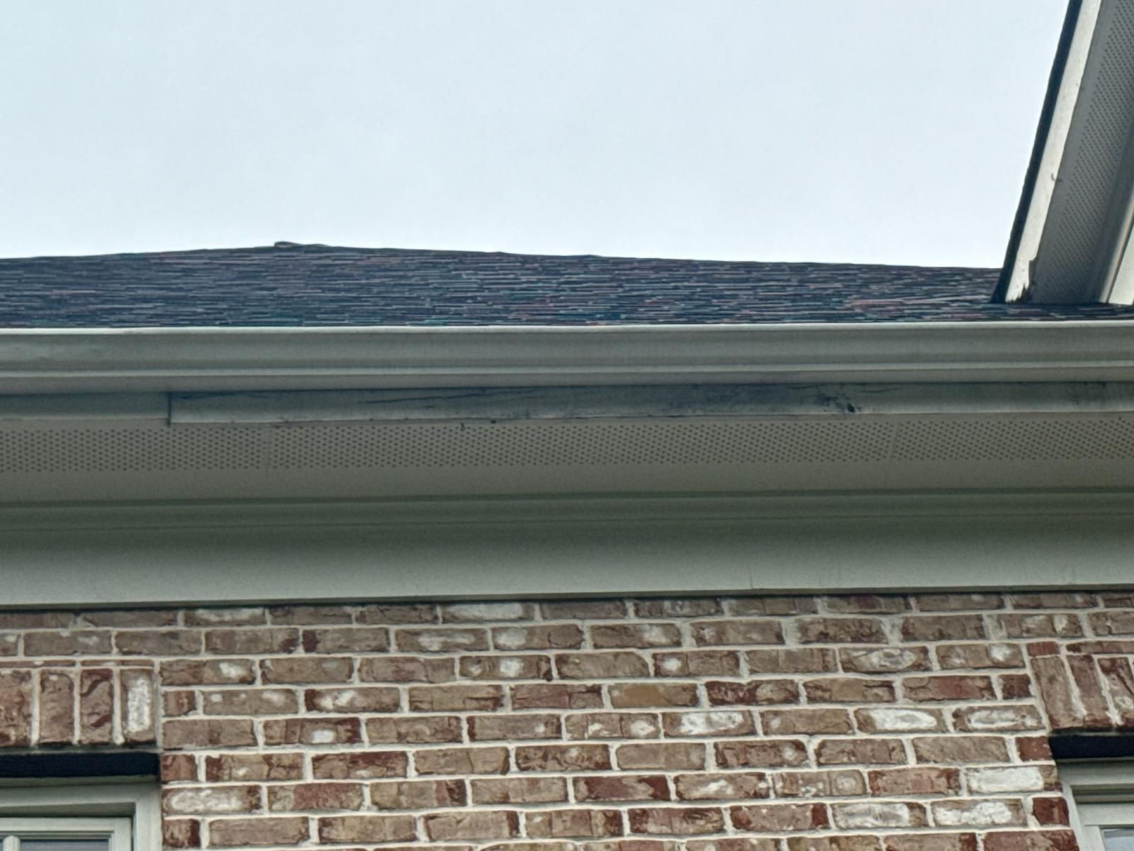  for Sanchez Z. Landscaping in Memphis, TN