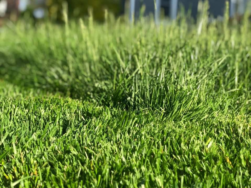  for LGZ Landscaping LLC in Belleville, NJ