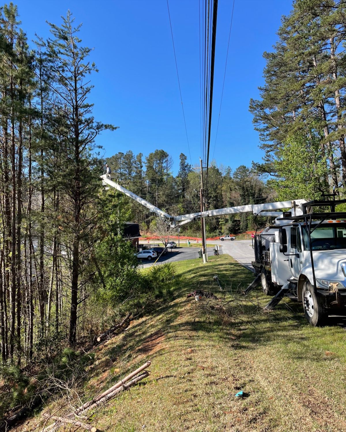 All Photos for Lakeside Tree Experts LLC in Hartwell, GA
