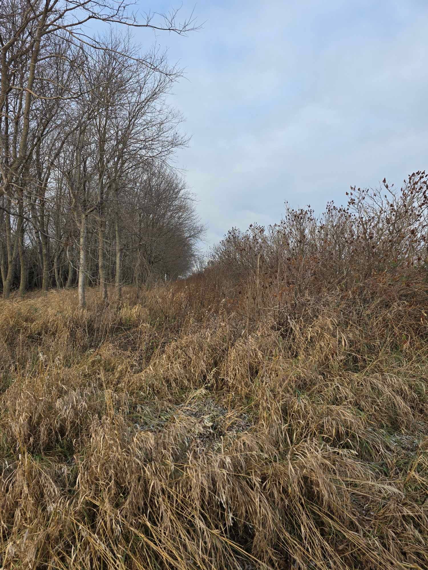  for Tree Tech in Luverne, MN