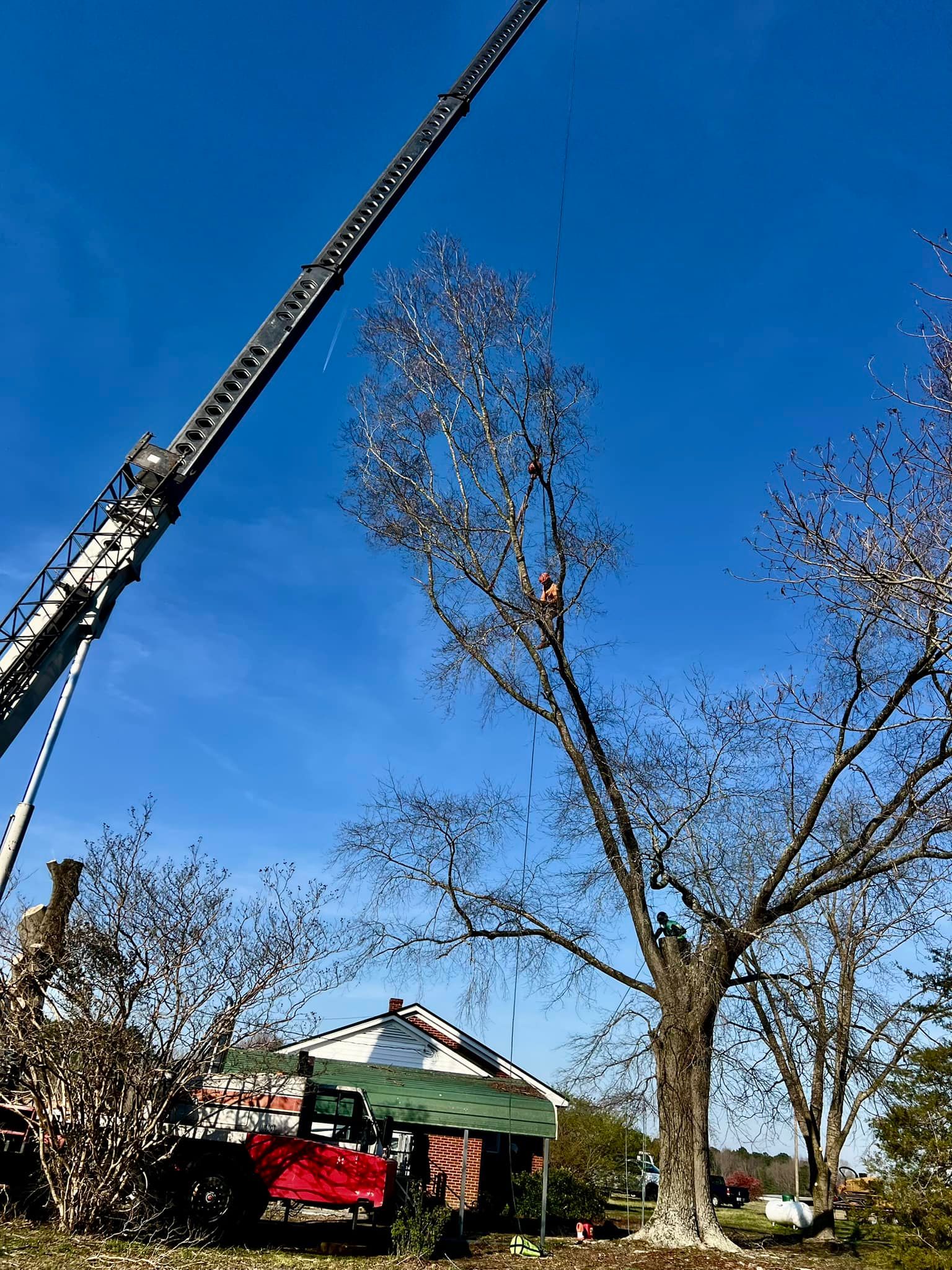  for Advanced Tree Pros & Landscape in Raleigh, NC