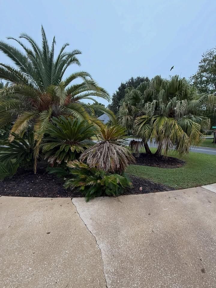  for Whole 9 Yards Services in Green Cove Springs, FL