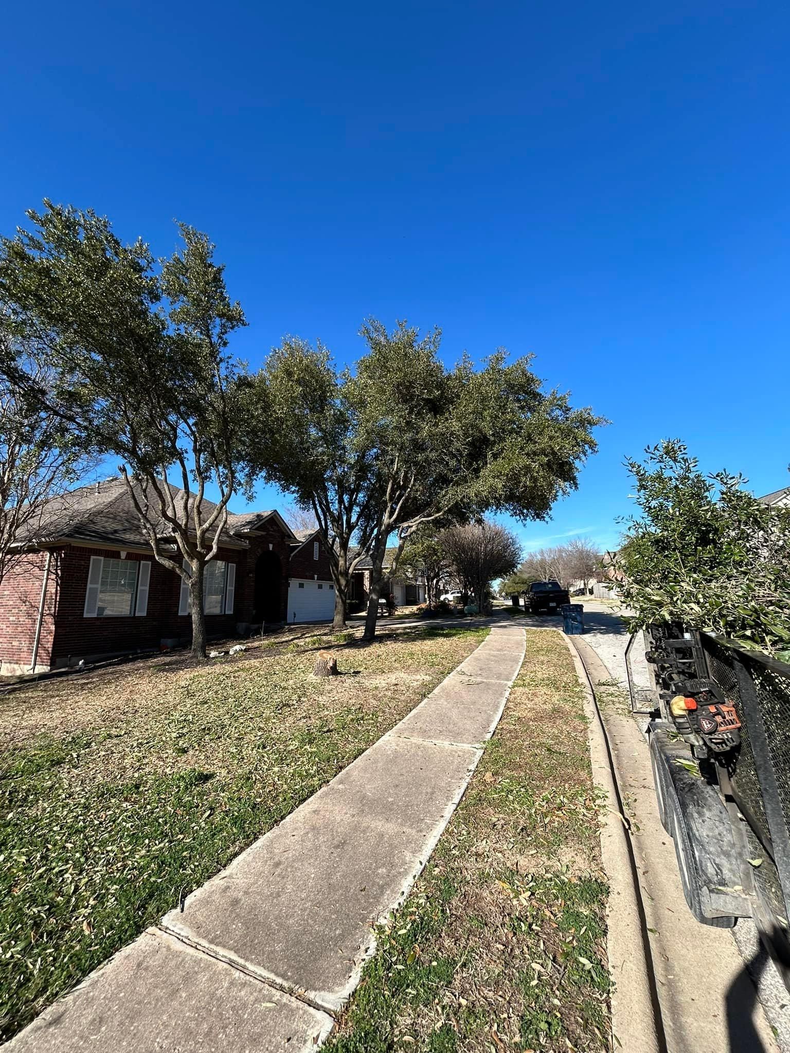  for Green Turf Landscaping in Kyle, TX