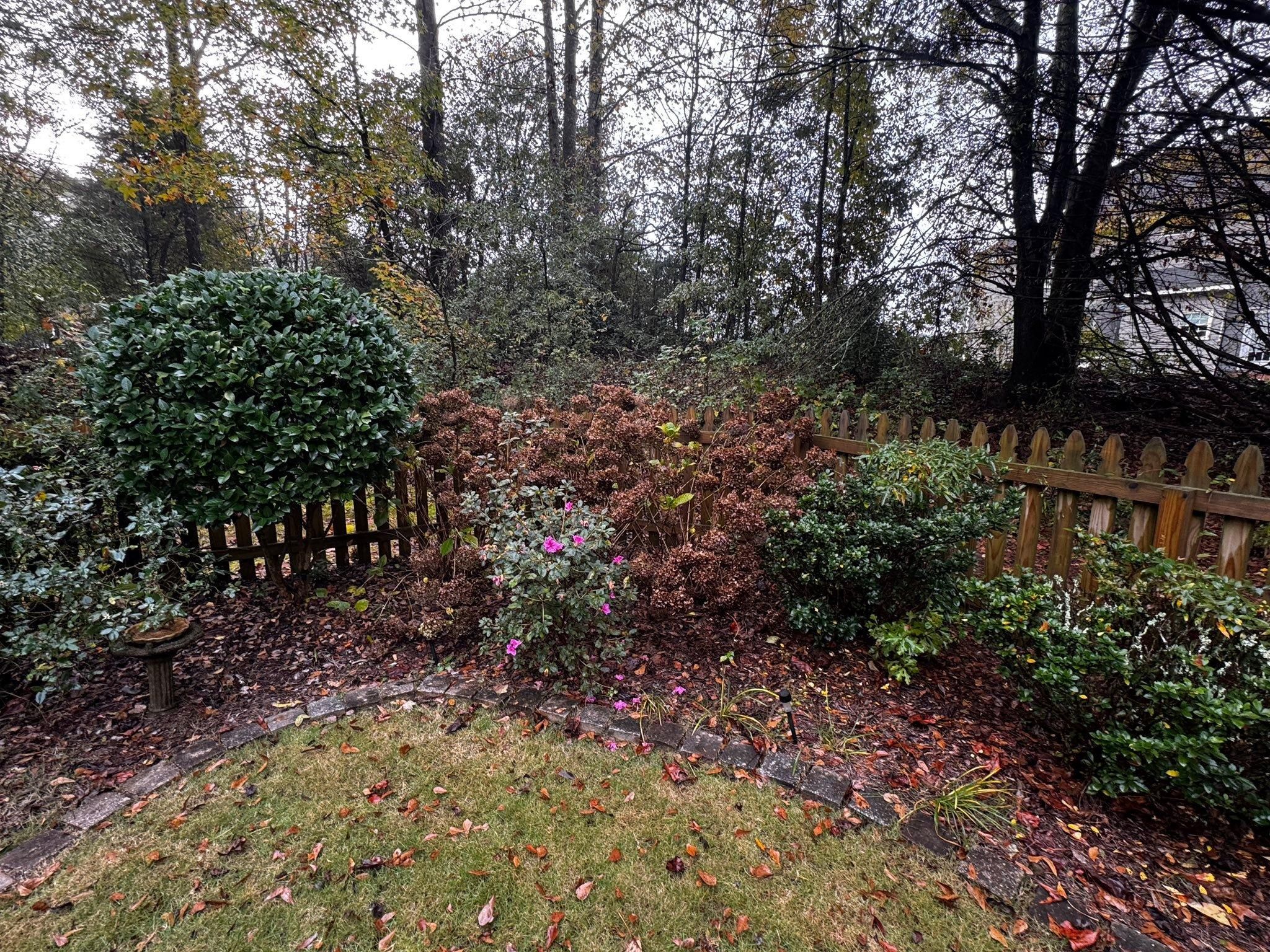  for Deeply Rooted Lawns – Hydroseeding & Sod Installation Services in Winder, GA