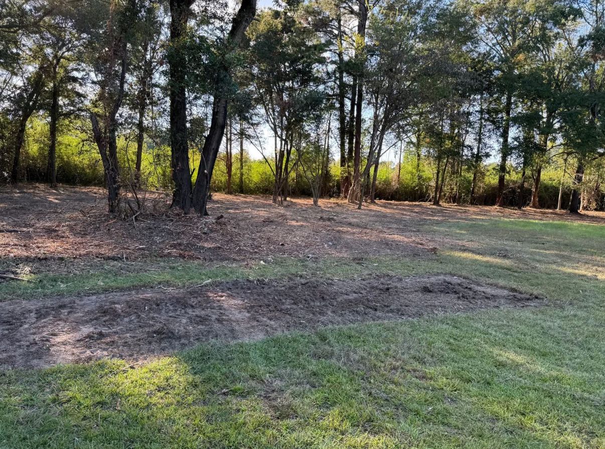  for T N L - Tree and Land Service in Reynolds, GA