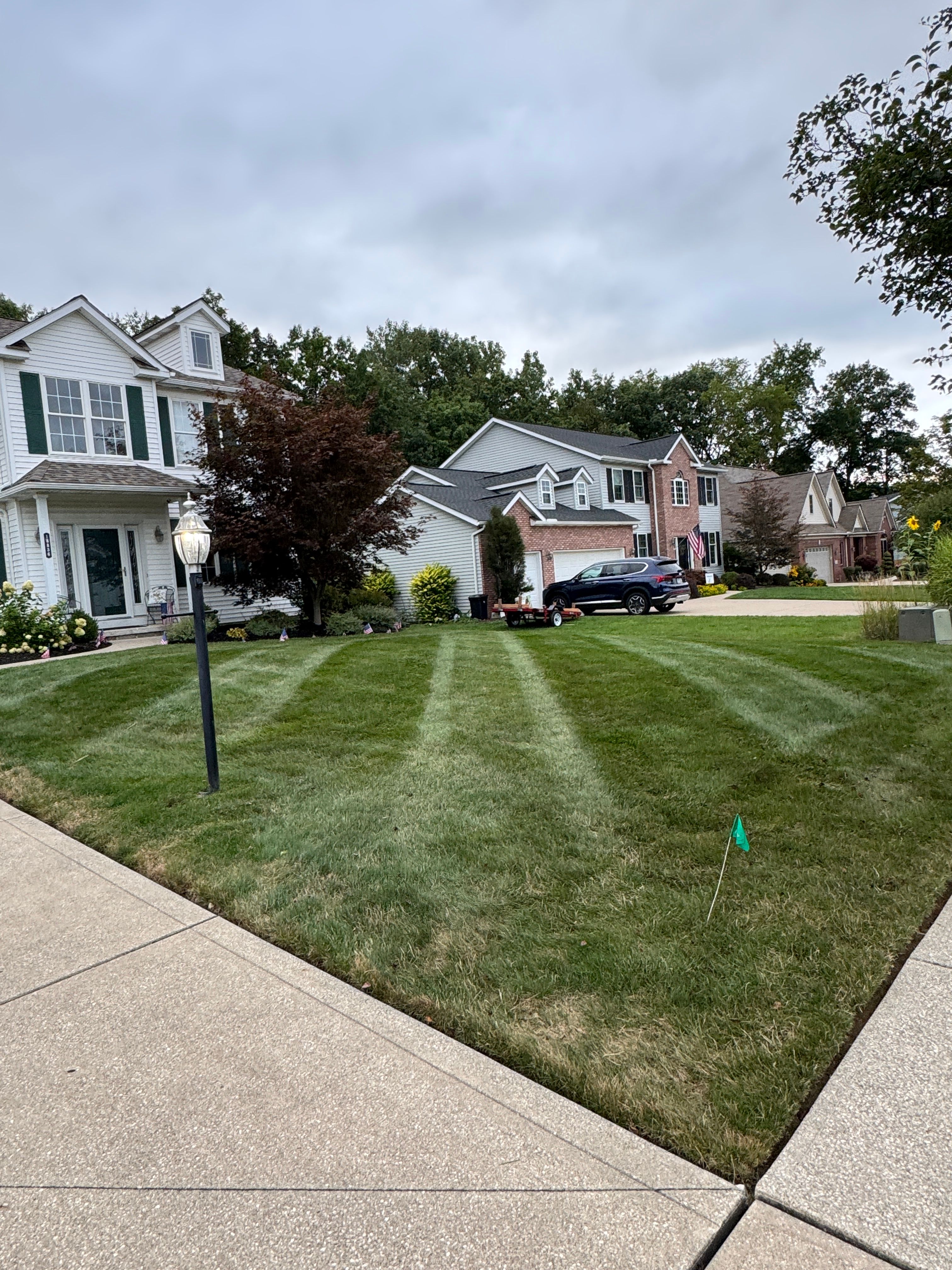  for Vasel's Landscaping Services in Medina, OH
