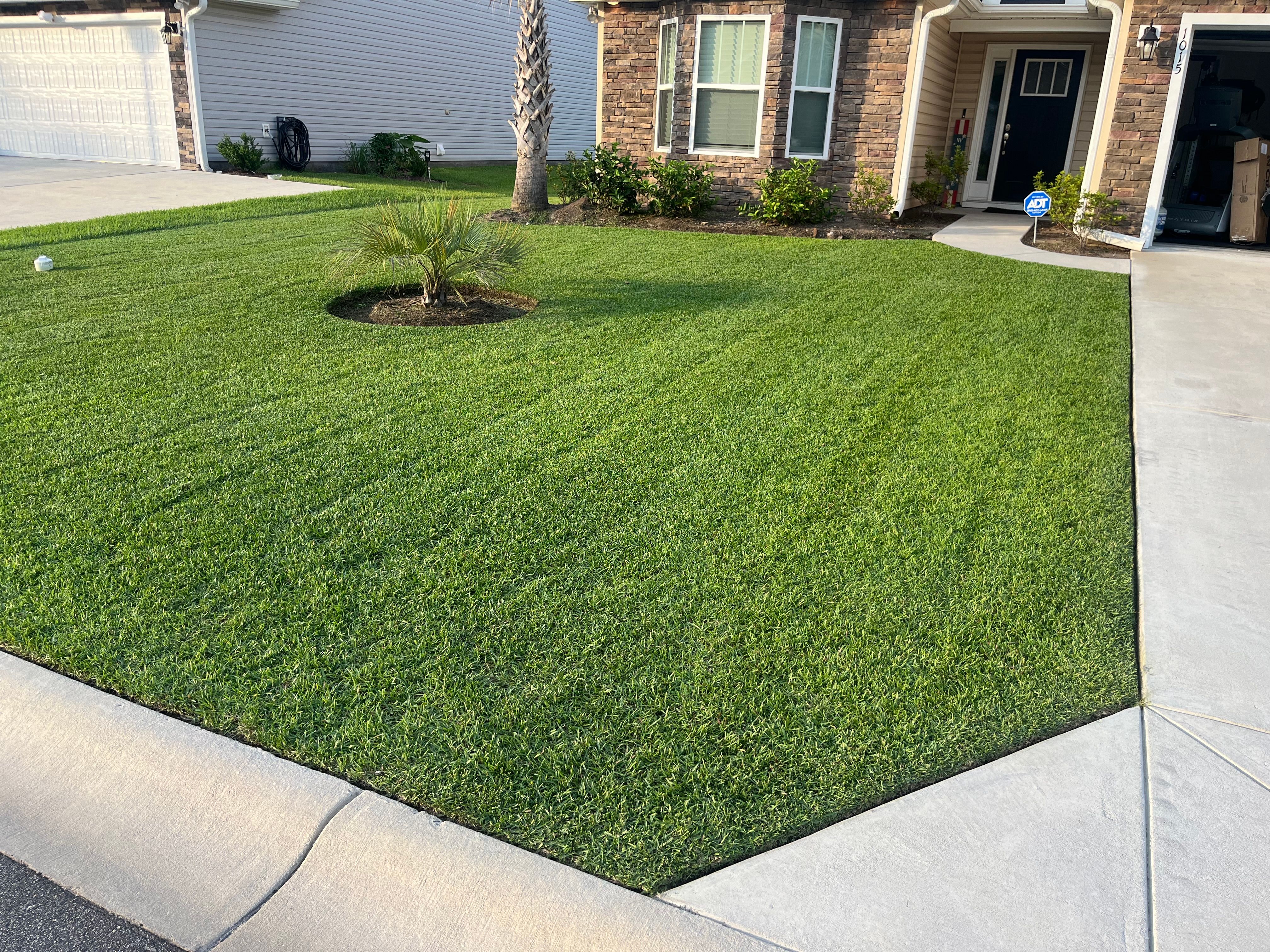  for New Creation Landscaping in Myrtle Beach, SC