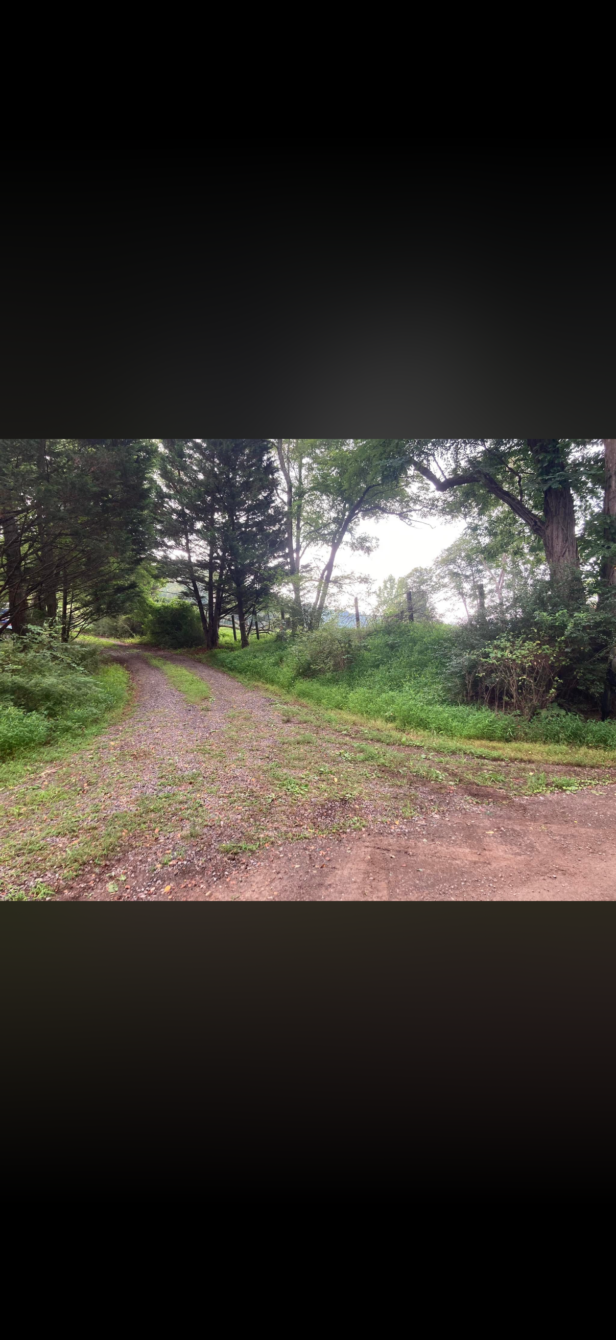  for 9999 Building and Renovation LLC in Warrenton, VA