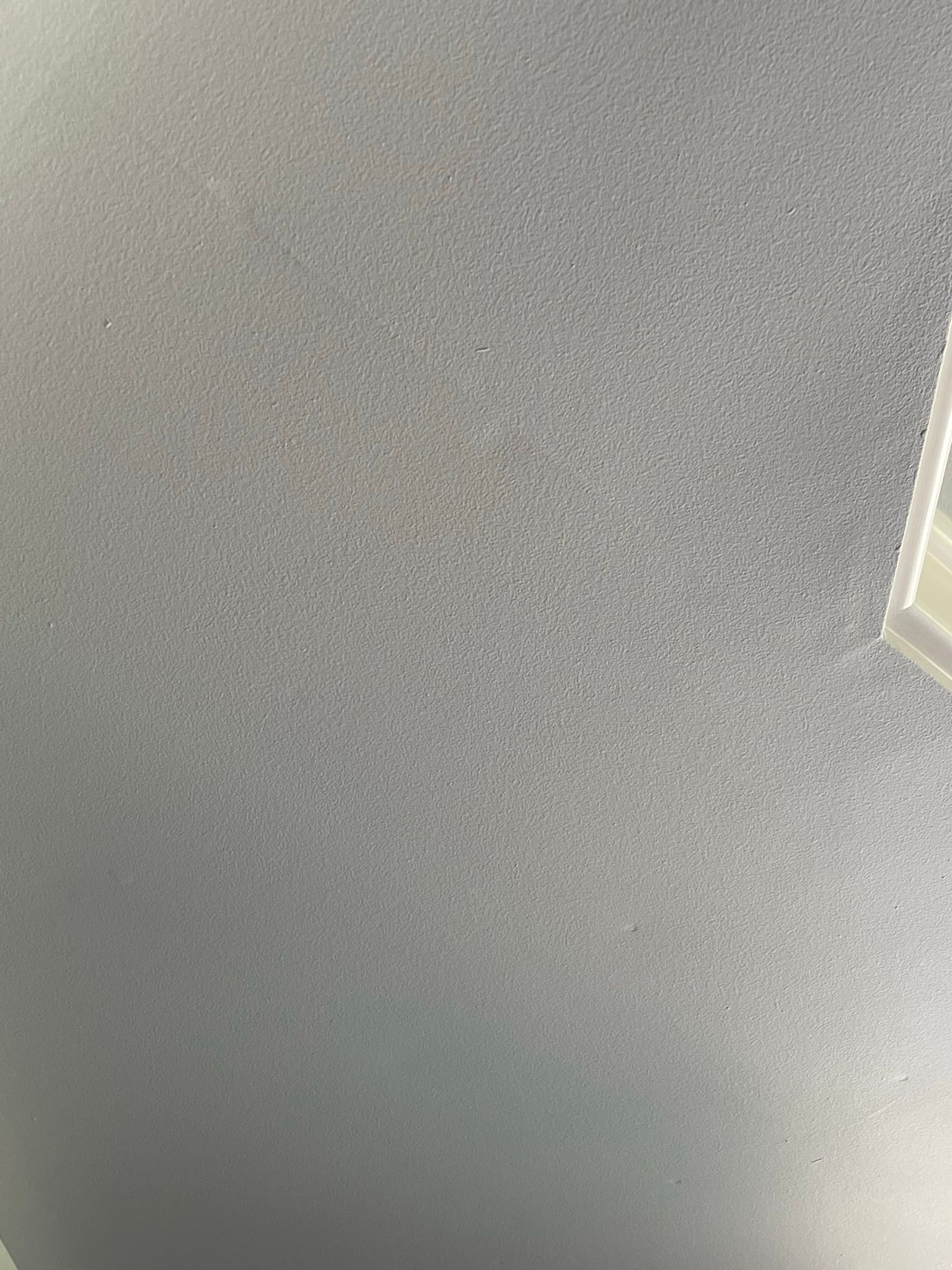  for Tony's Remodeling & Painting in Renton, WA