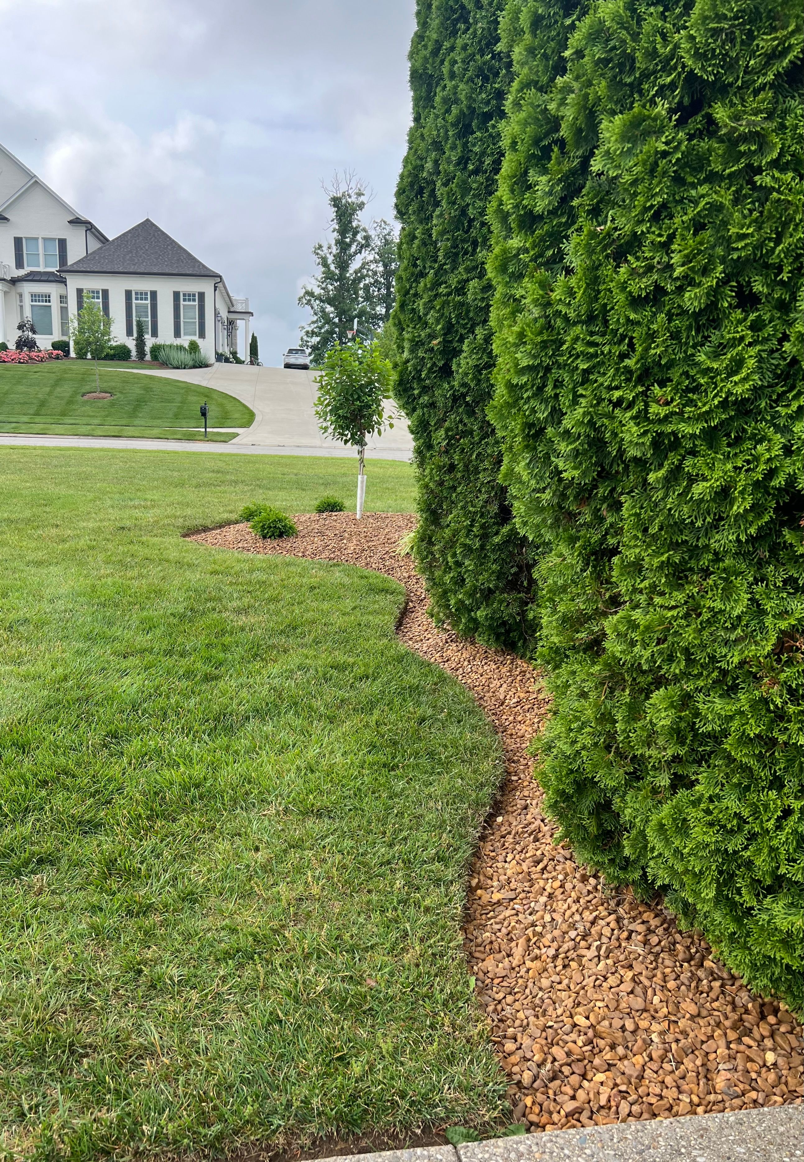  for Full Service Landscaping in Louisville, KY