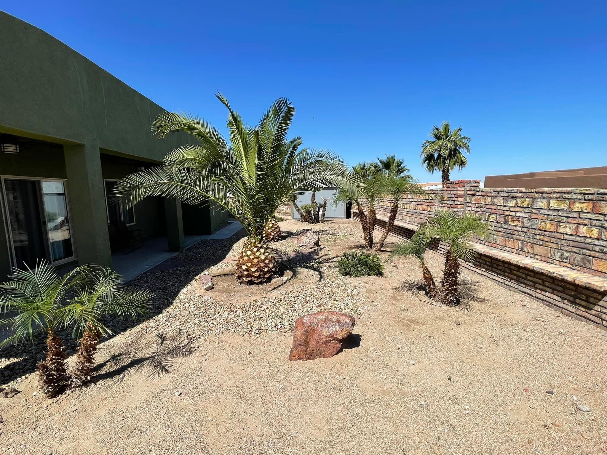  for Oliver L. Palm & Tree services in Yuma County, AZ