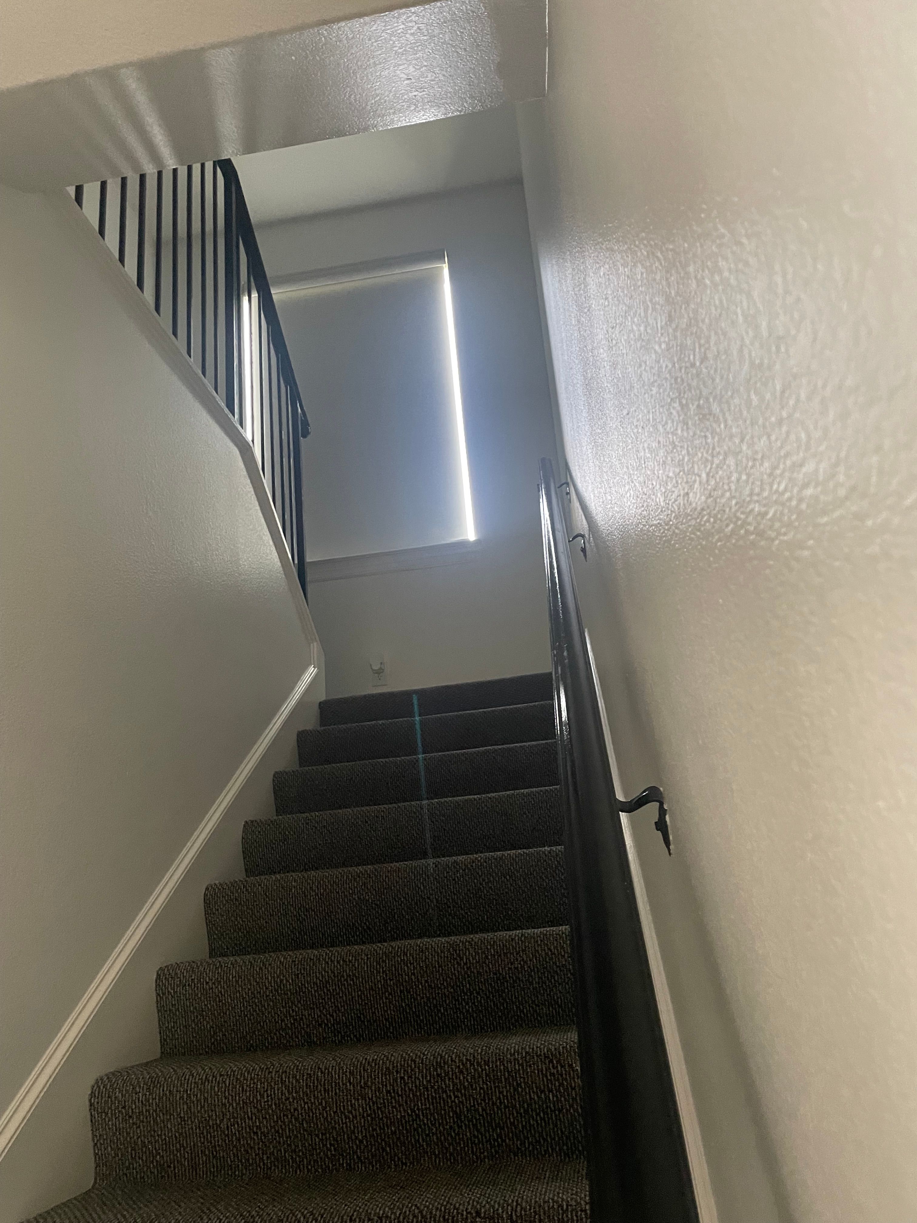  for One Level Construction in Scurry, TX