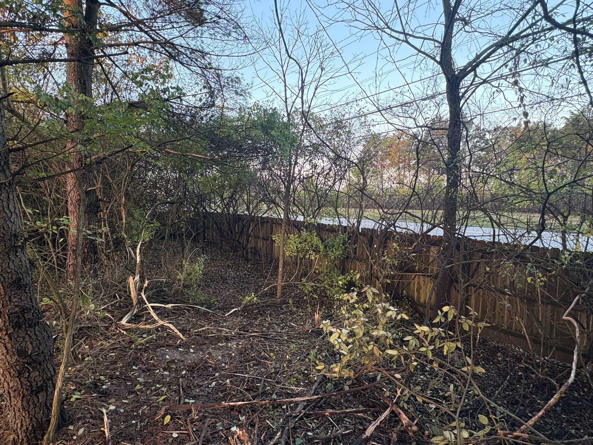  for Dig-It Tree Company in Mason, OH