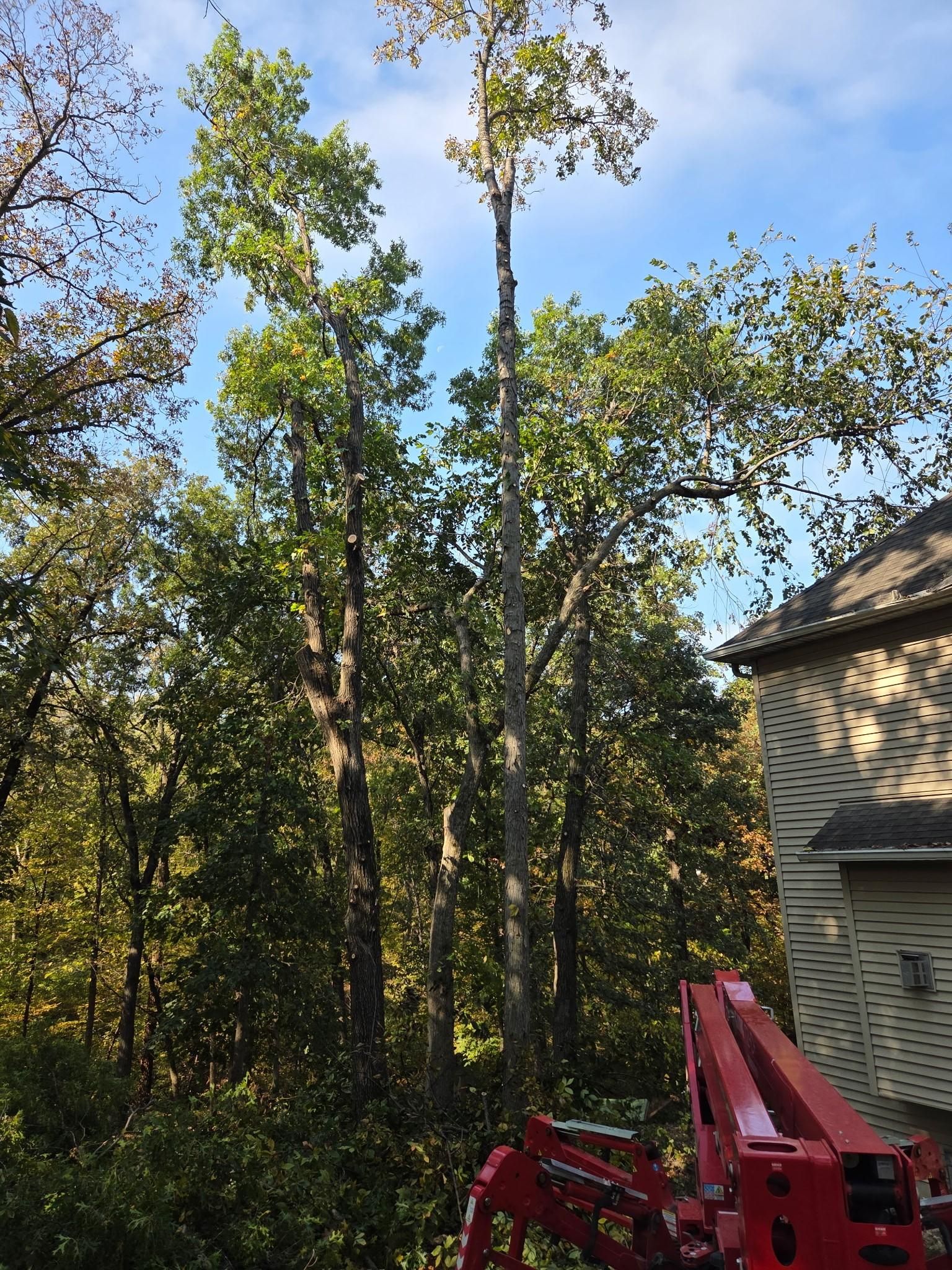  for Lawn Ranger Yard And Tree Service LLC in Ottumwa, IA