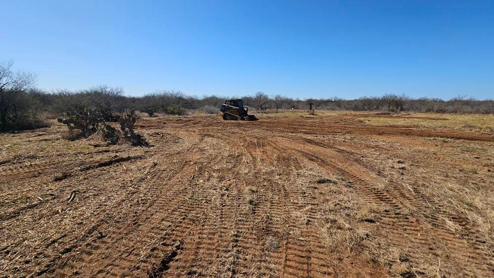 Land Clearing for Hernandez Land Clearing Services in Alice, TX