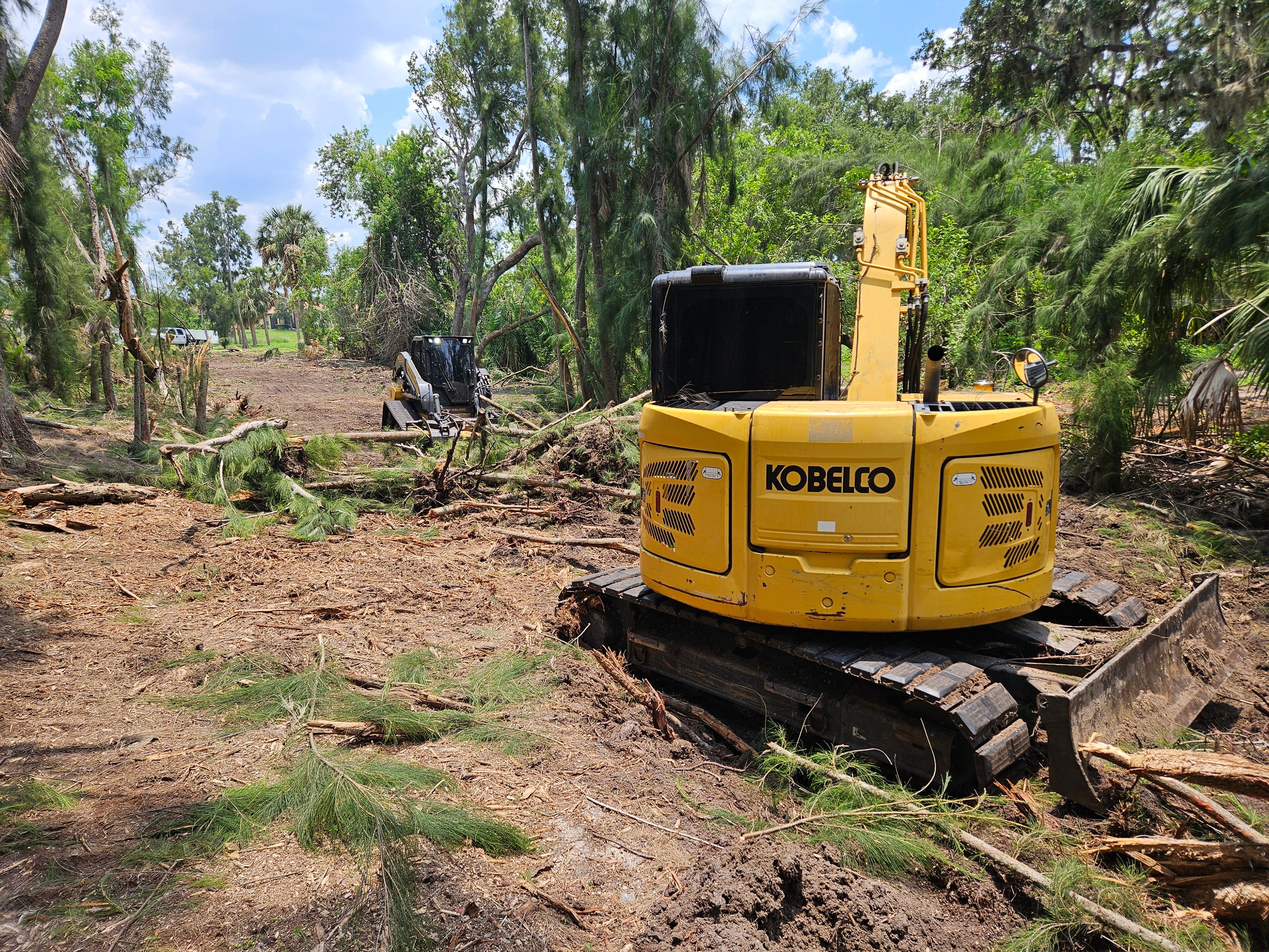 All Photos for Bay Area Bobcat in Riverview, FL