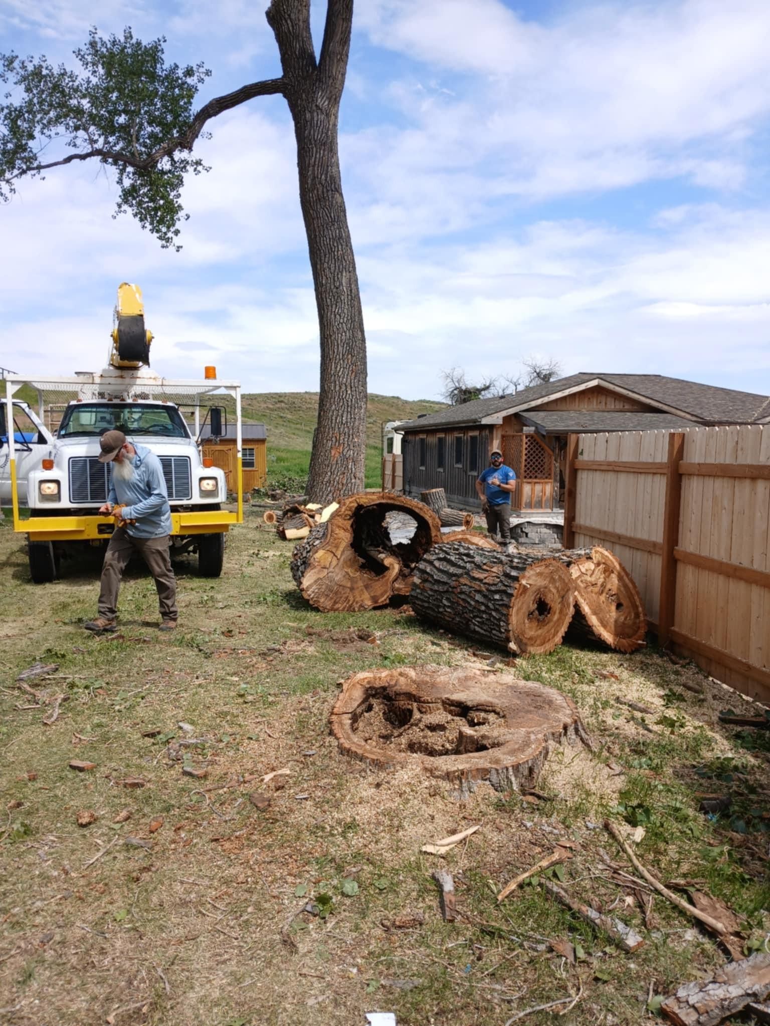  for Two Fellers Tree Service in Buffalo, WY