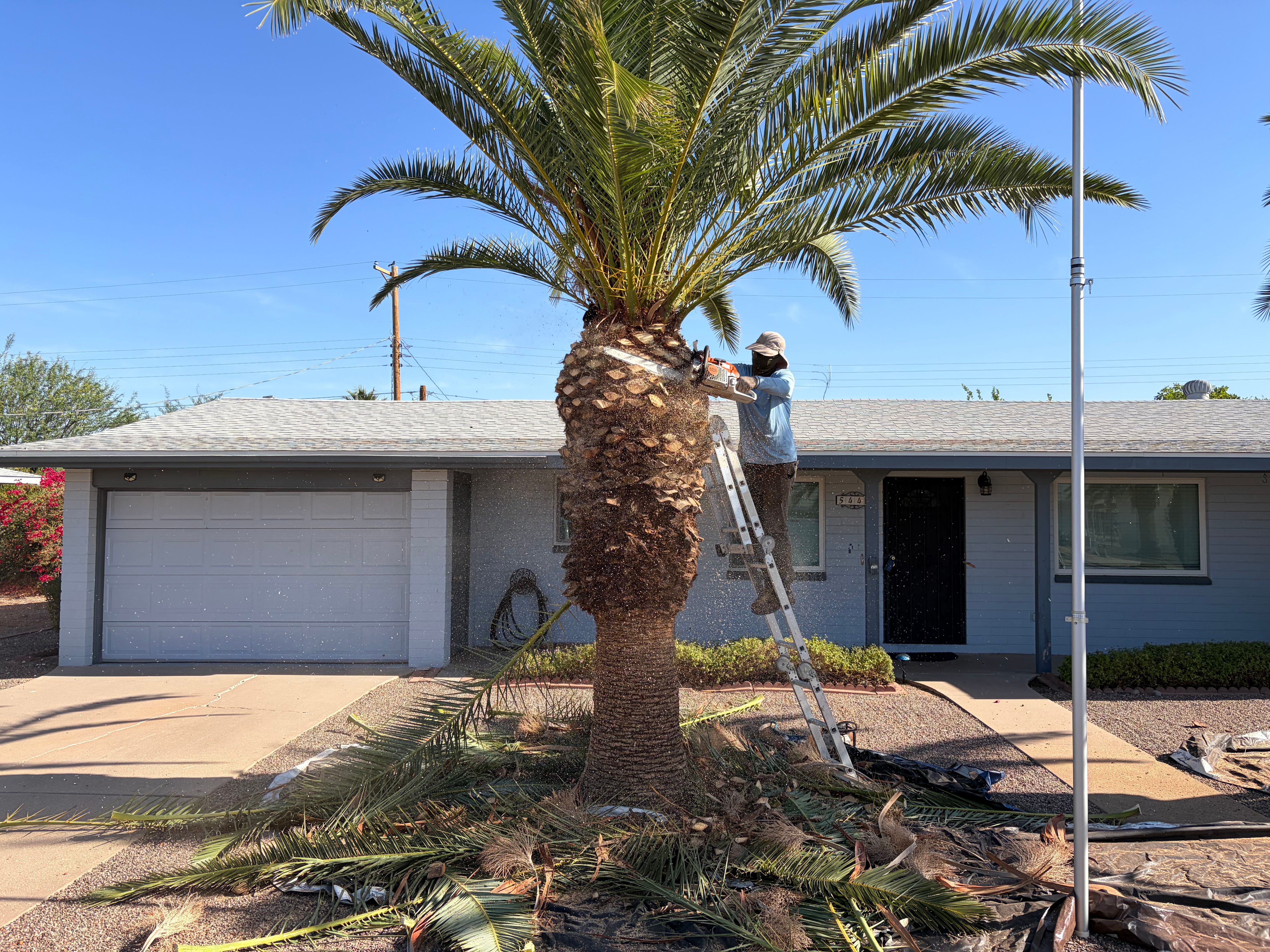  for Copperhead Solution in Phoenix, Arizona