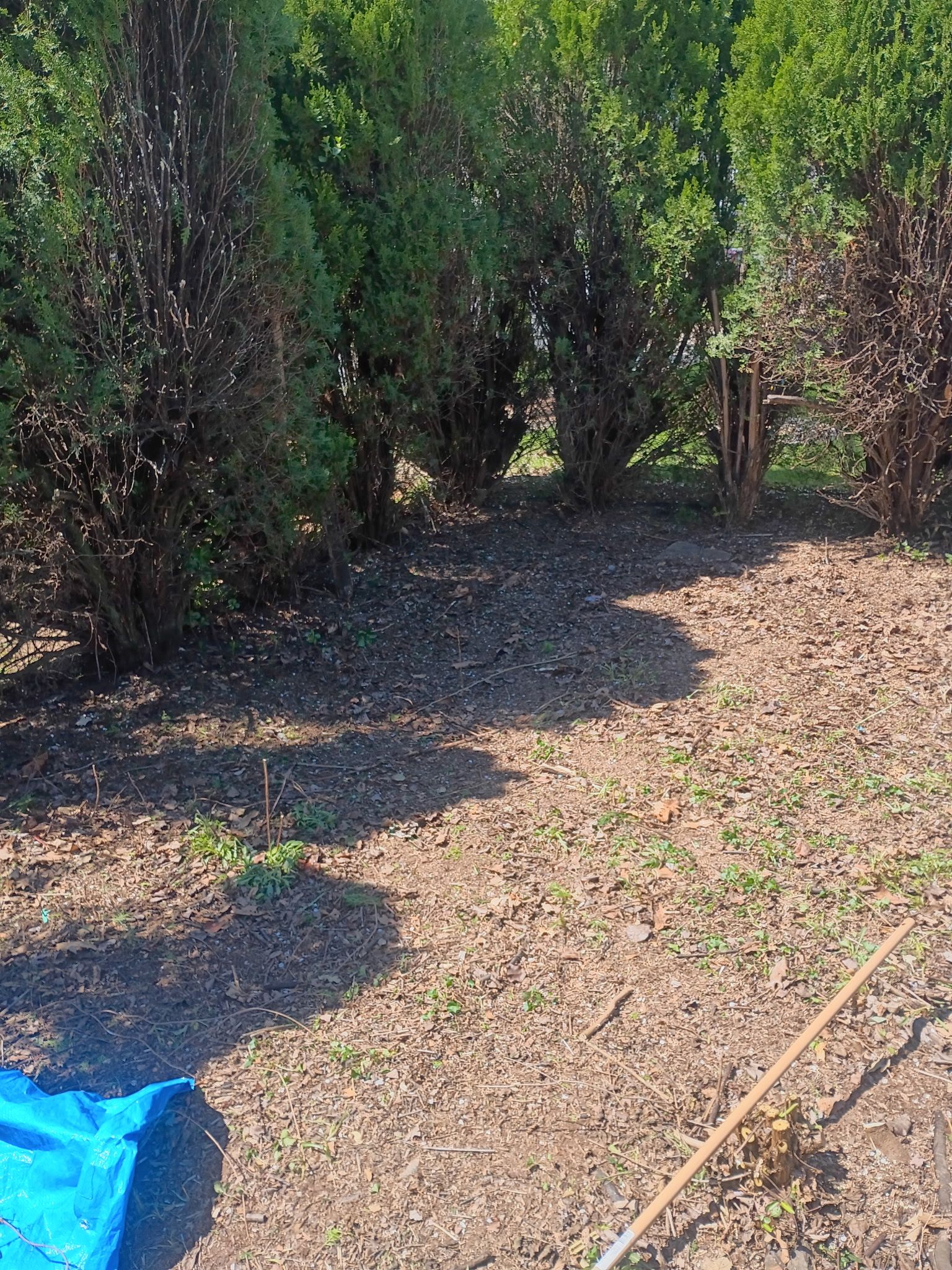  for Glen Co Solutions Inc. in Frederick, MD