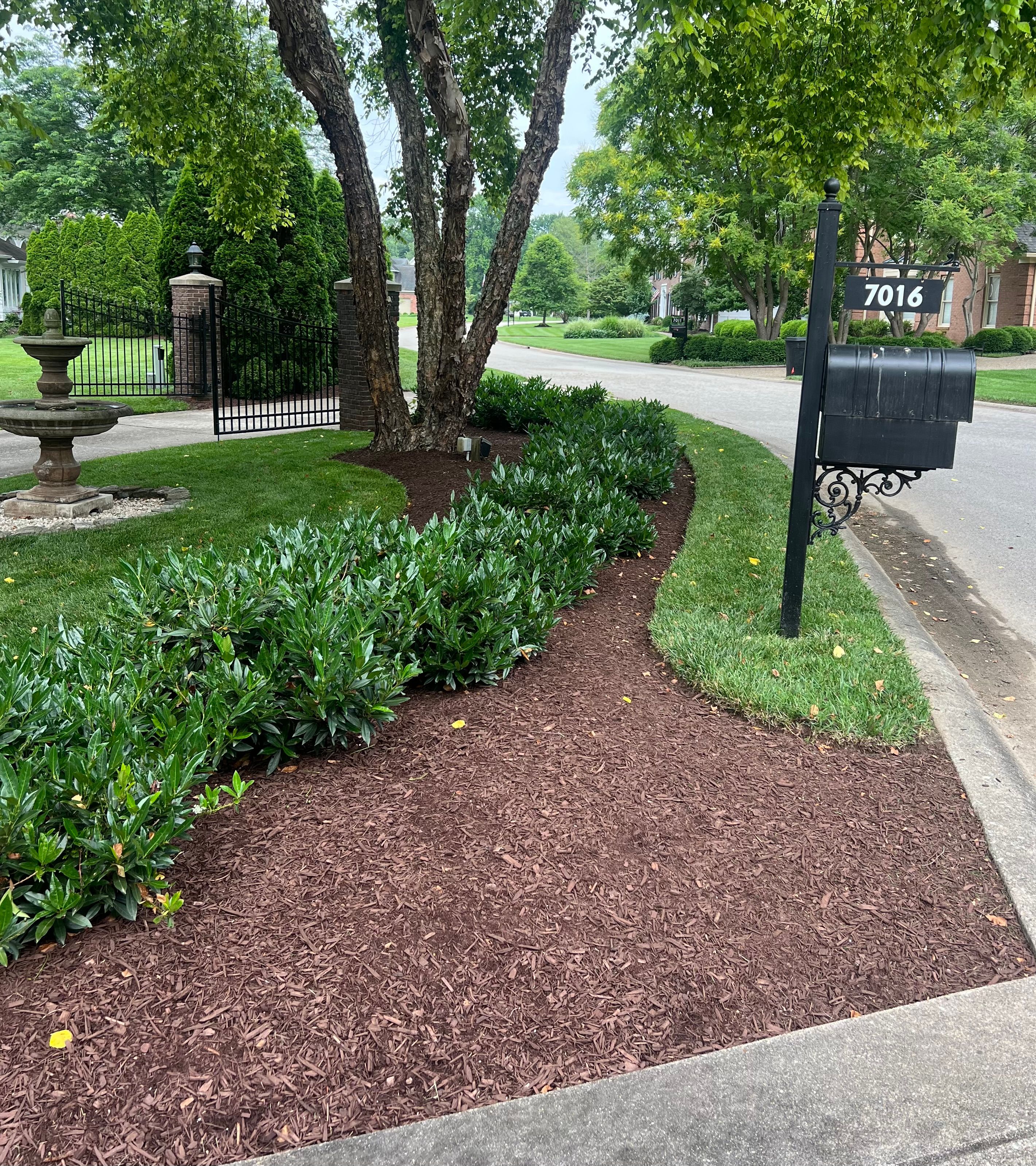  for Full Service Landscaping in Louisville, KY