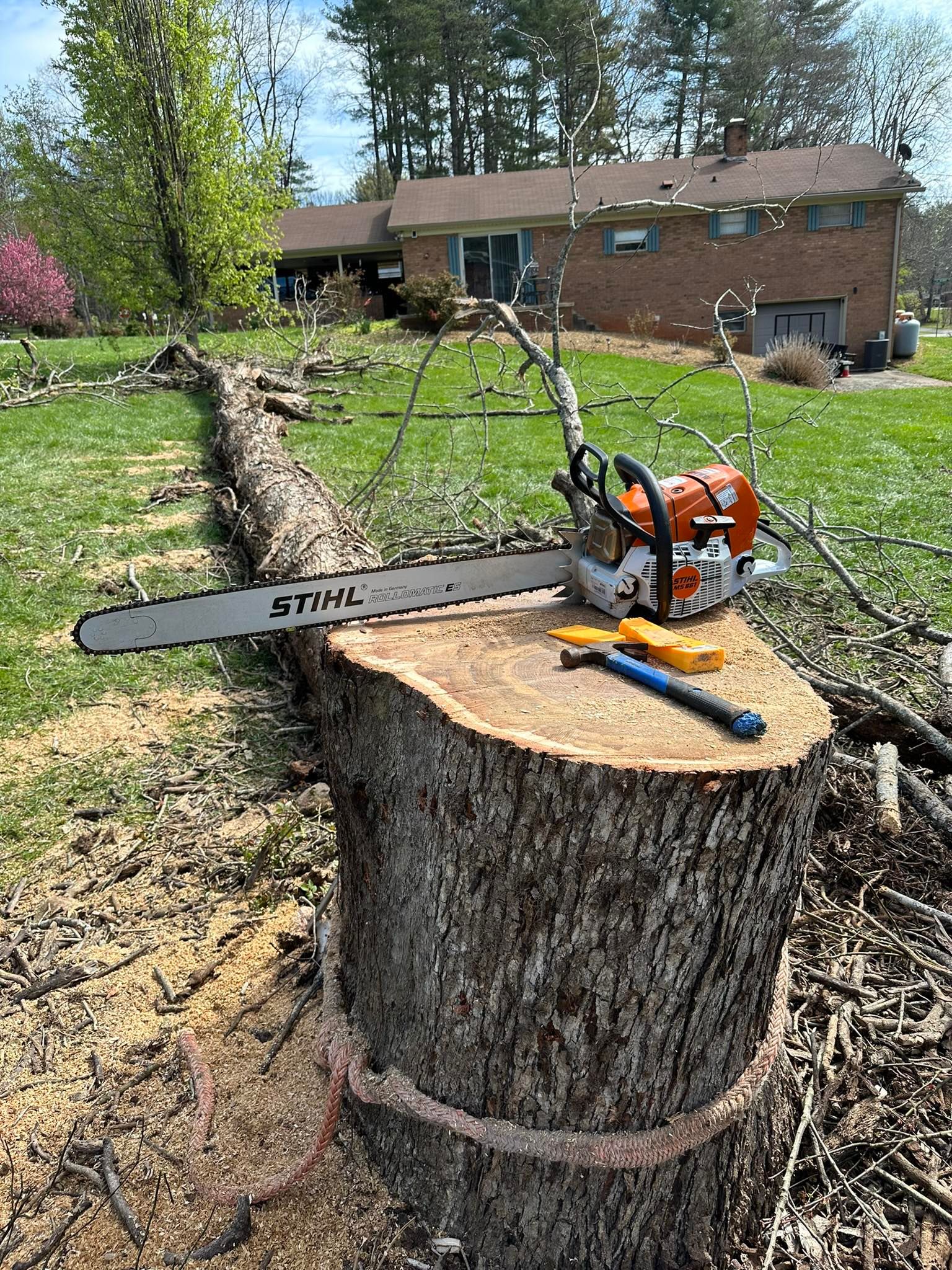  for Ramirez Tree Care in Elkin, NC