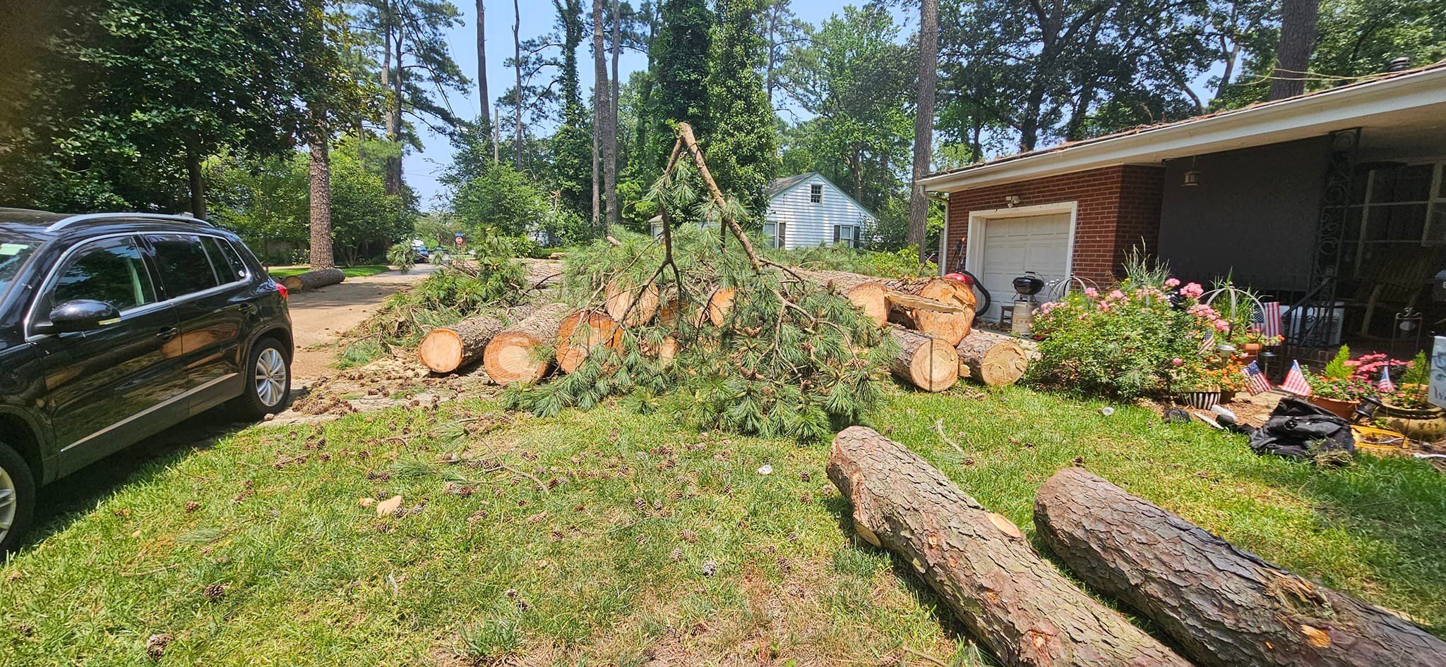  for Beach Tree Care in Virginia Beach, VA