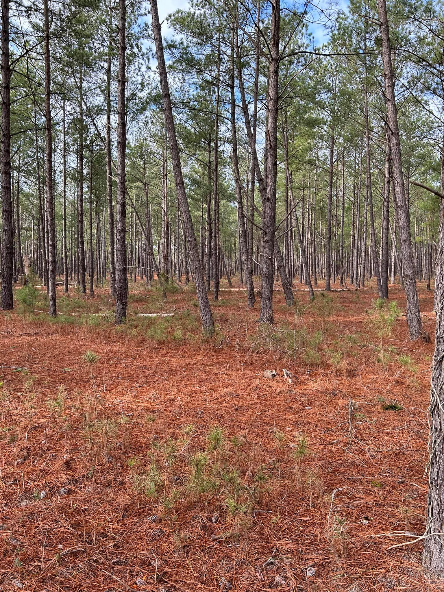  for Linhale Landscaping & Lawn Care in Florence, SC