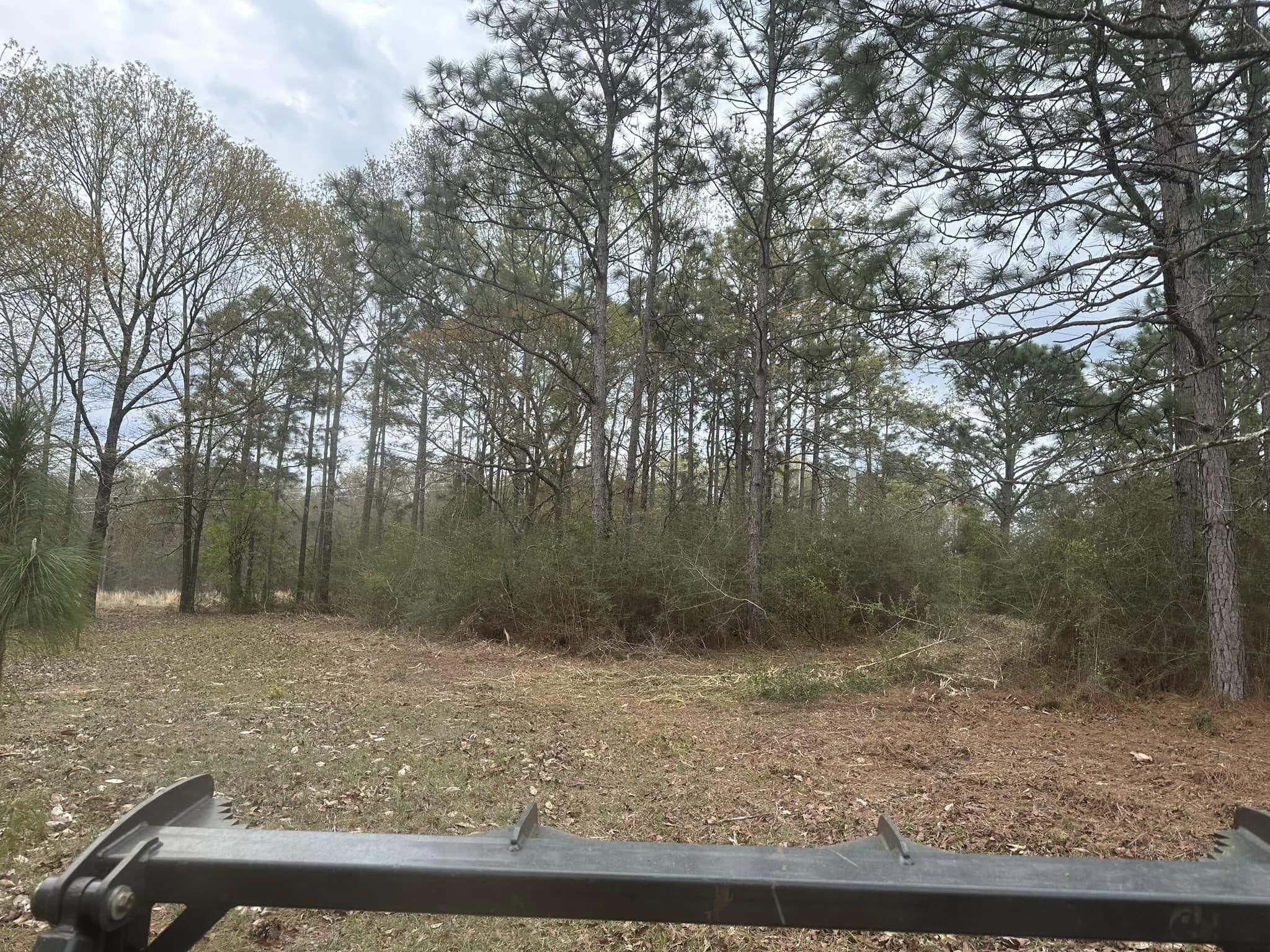 All Photos for White’s Land Maintenance in Milton,, FL