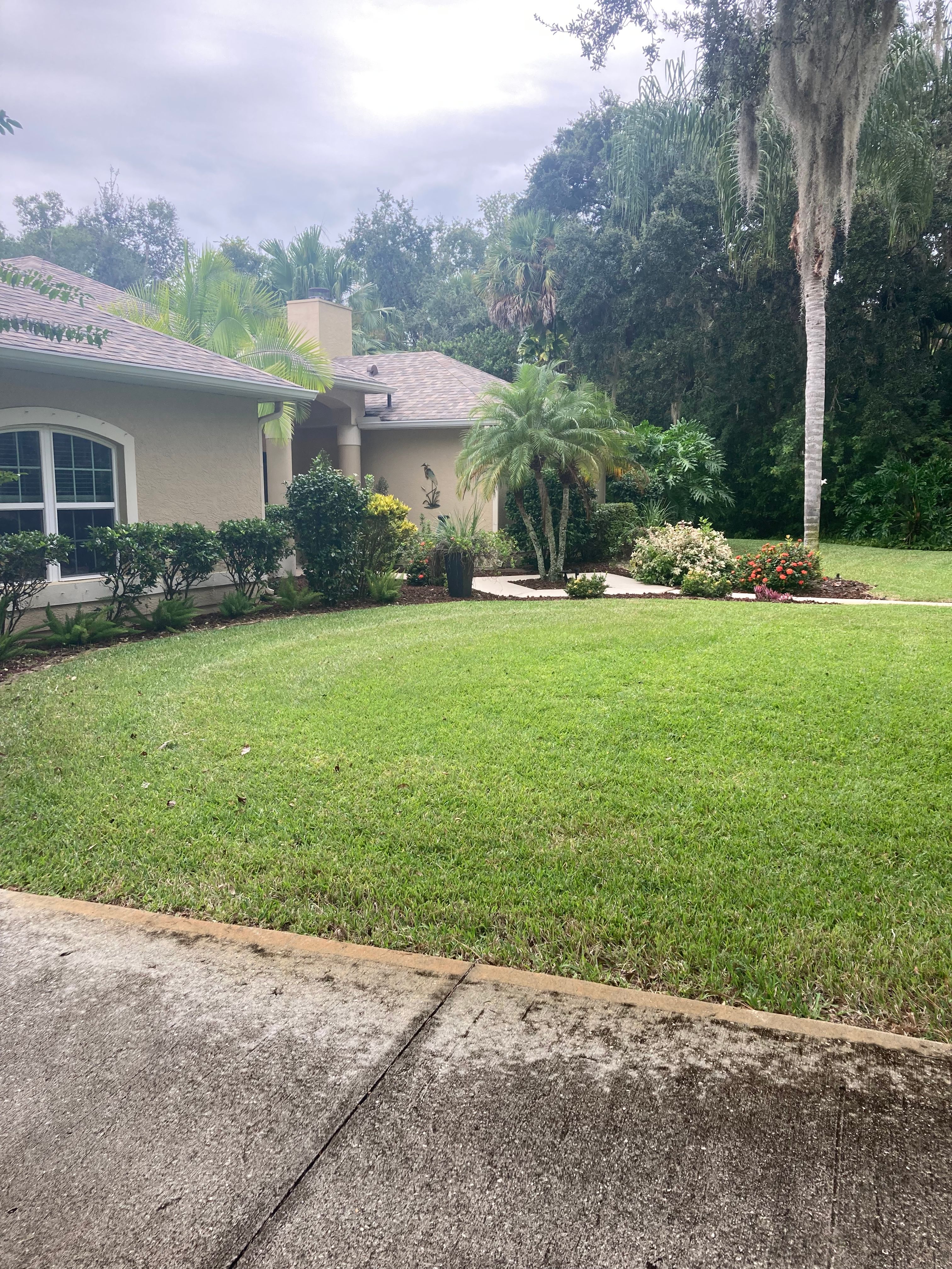 All Photos for Impressive Lawns 321 LLC in Titusville, FL