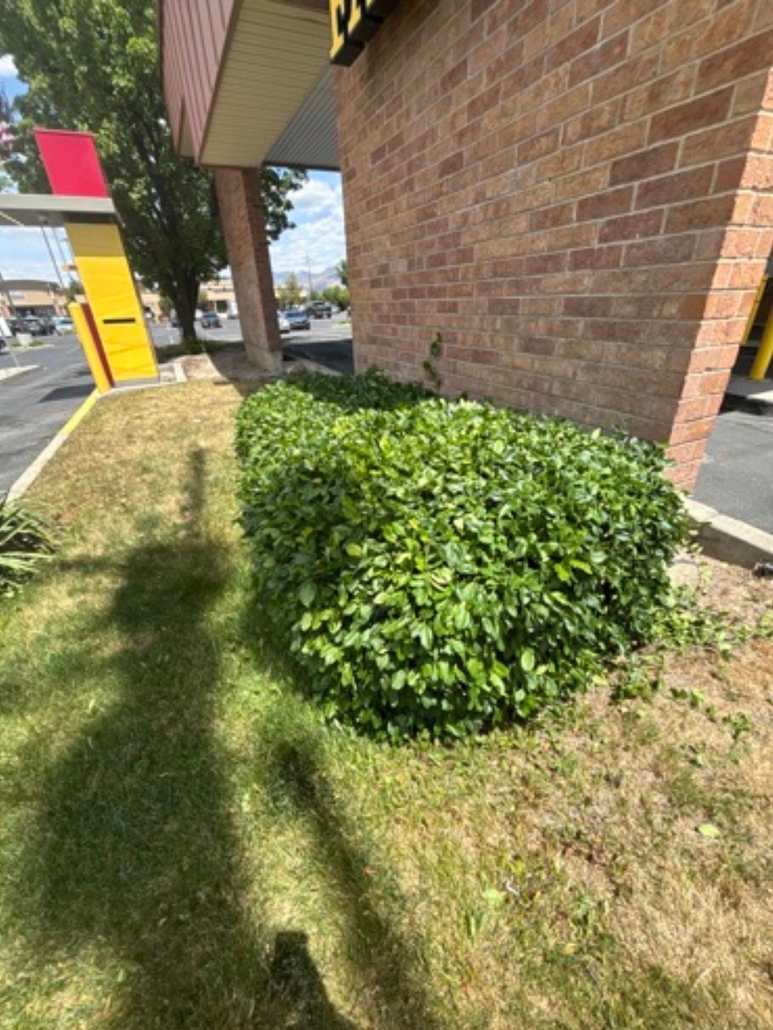 All Photos for Platinum Lawn Service in Santaquin, UT